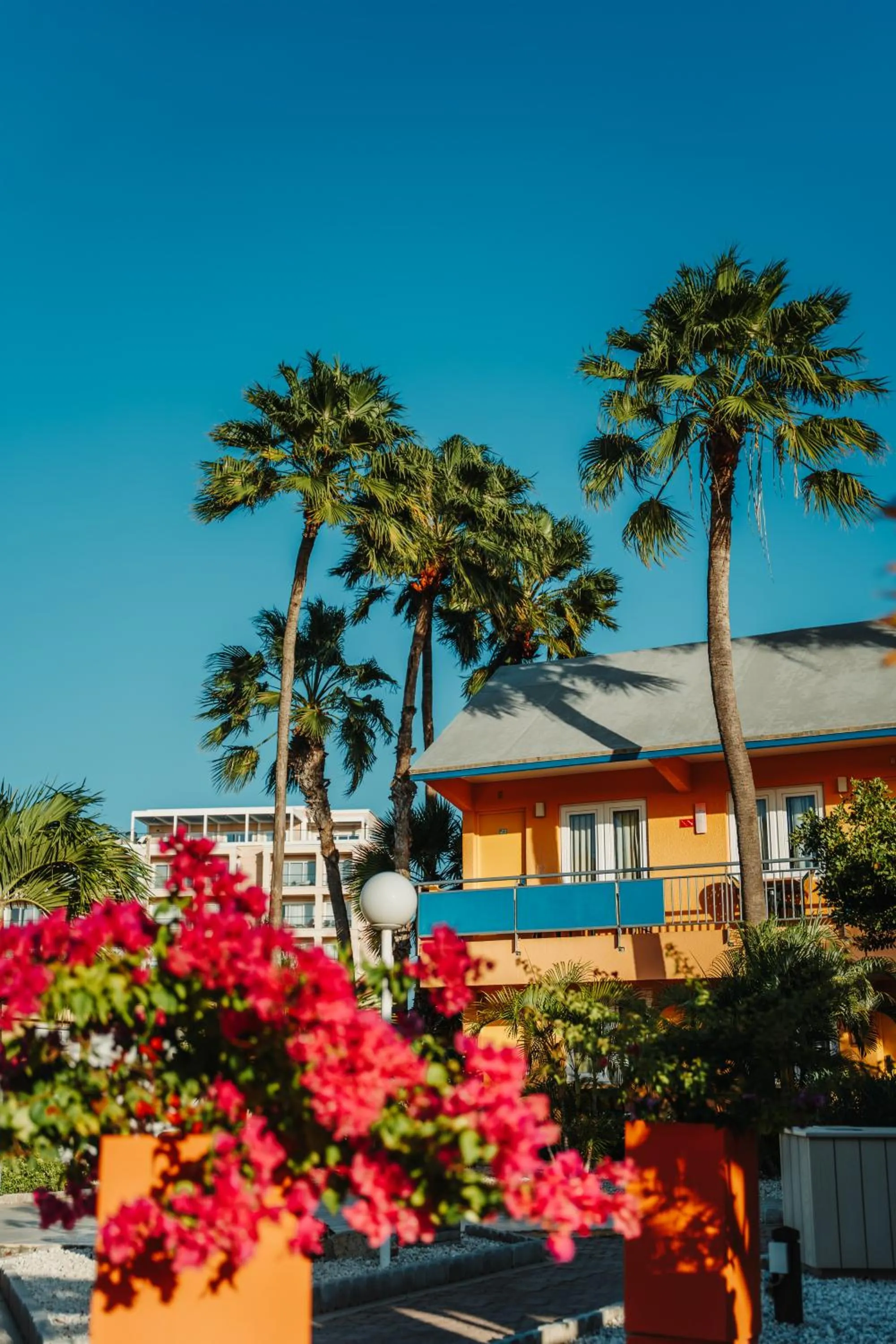 Property building in MVC Eagle Beach