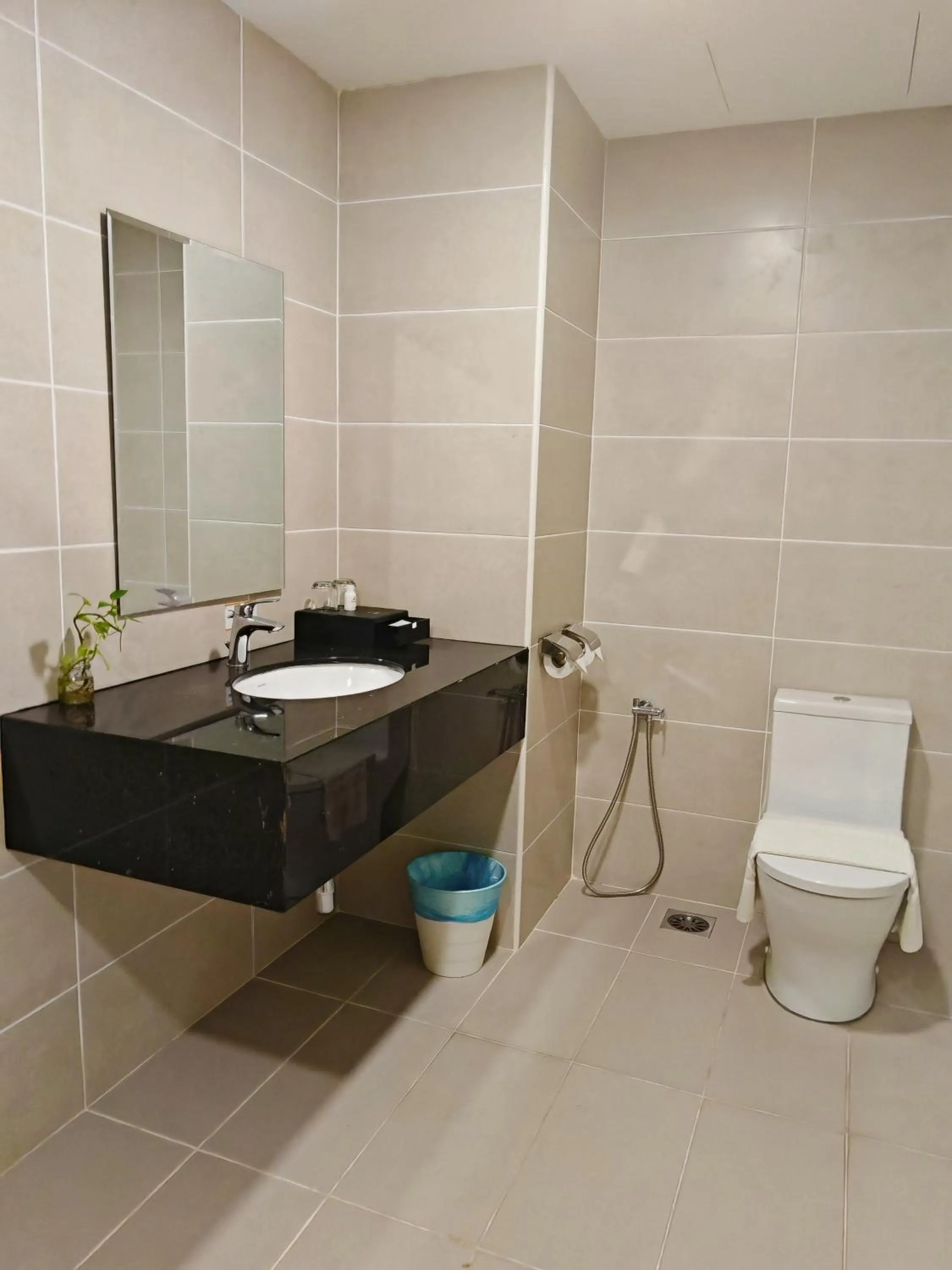 Toilet in Swan Garden Resort Hotel