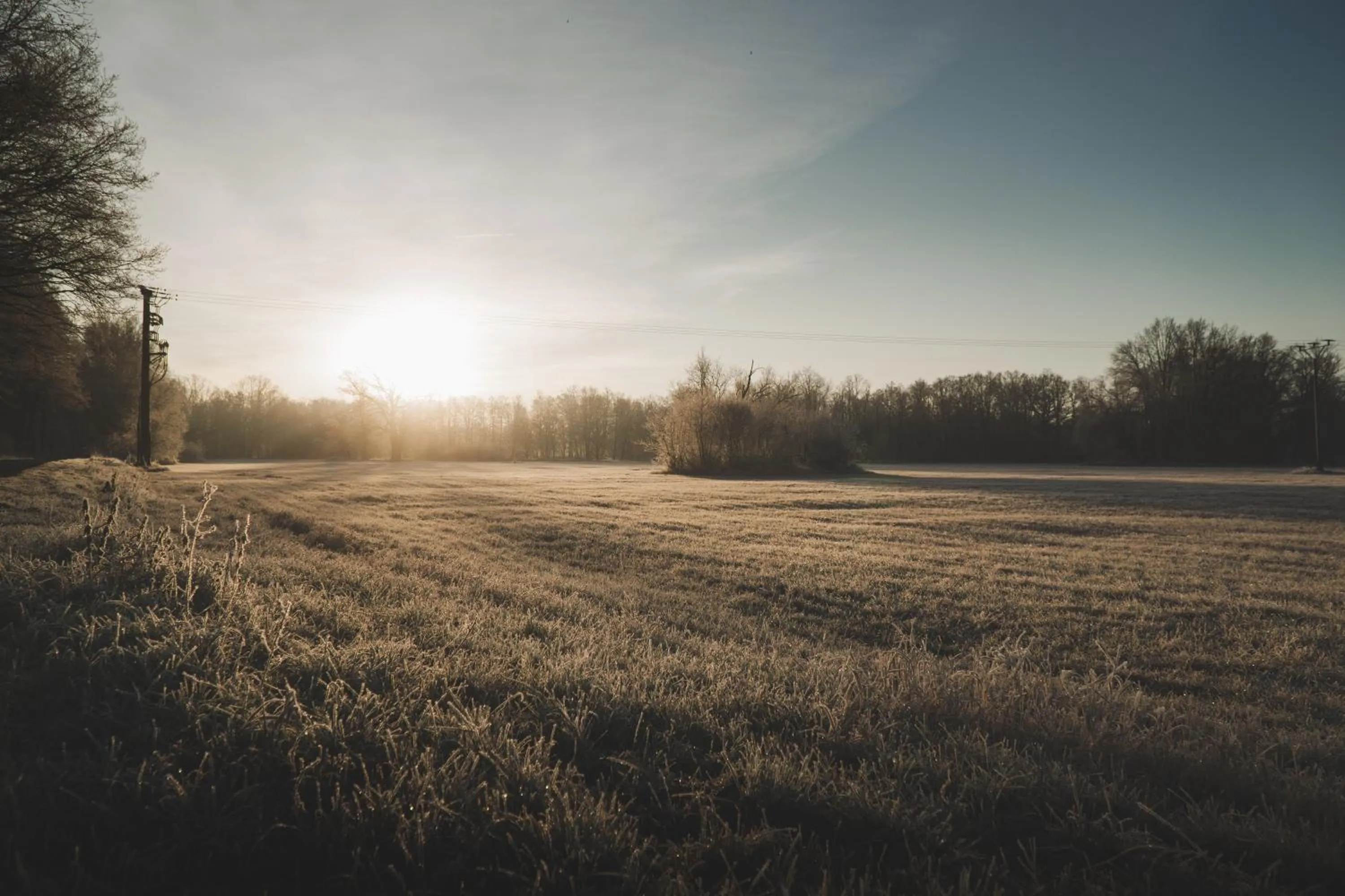 Natural landscape in Waldhotel Eiche