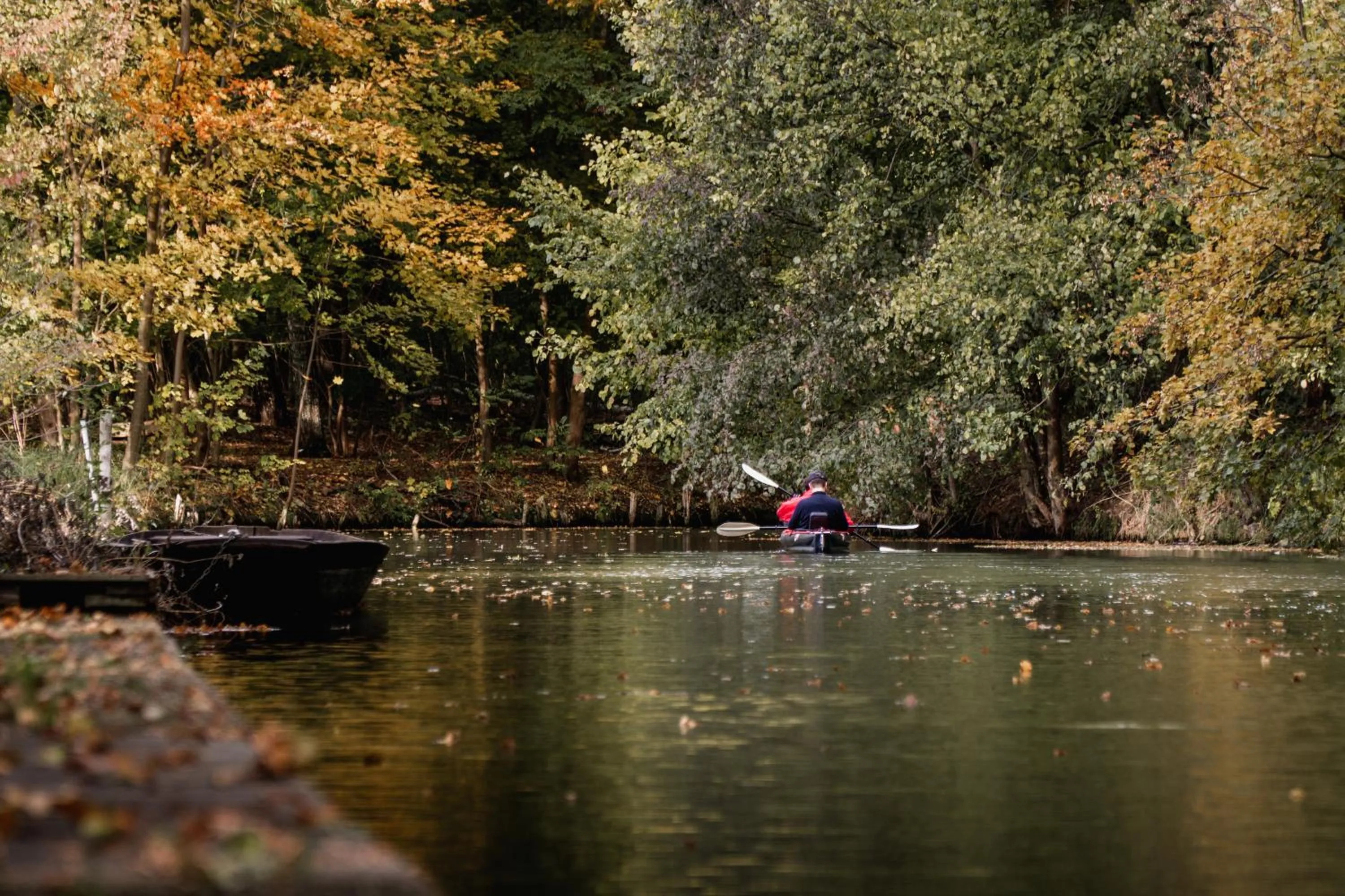 Natural landscape in Waldhotel Eiche