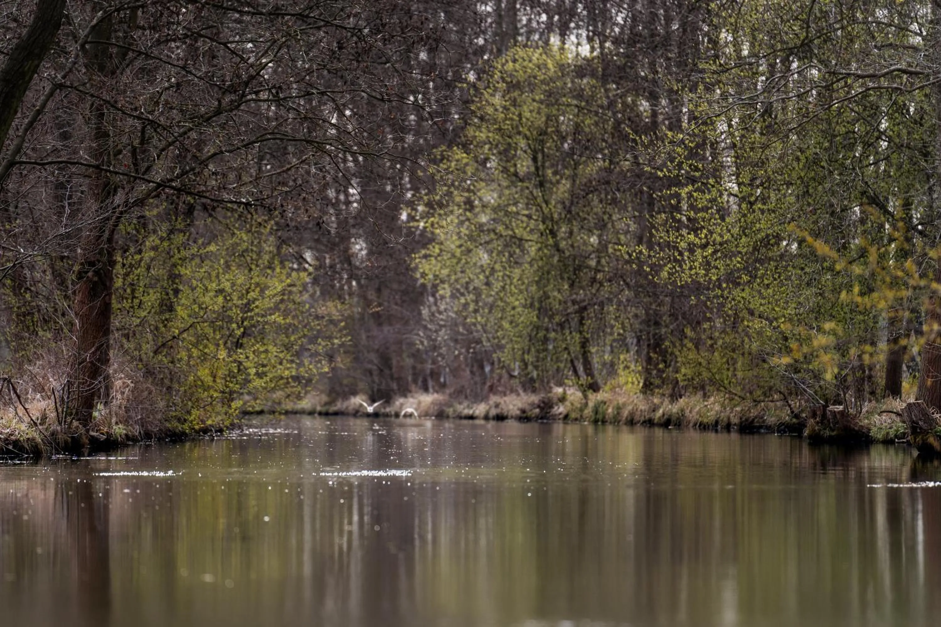 Natural landscape in Waldhotel Eiche