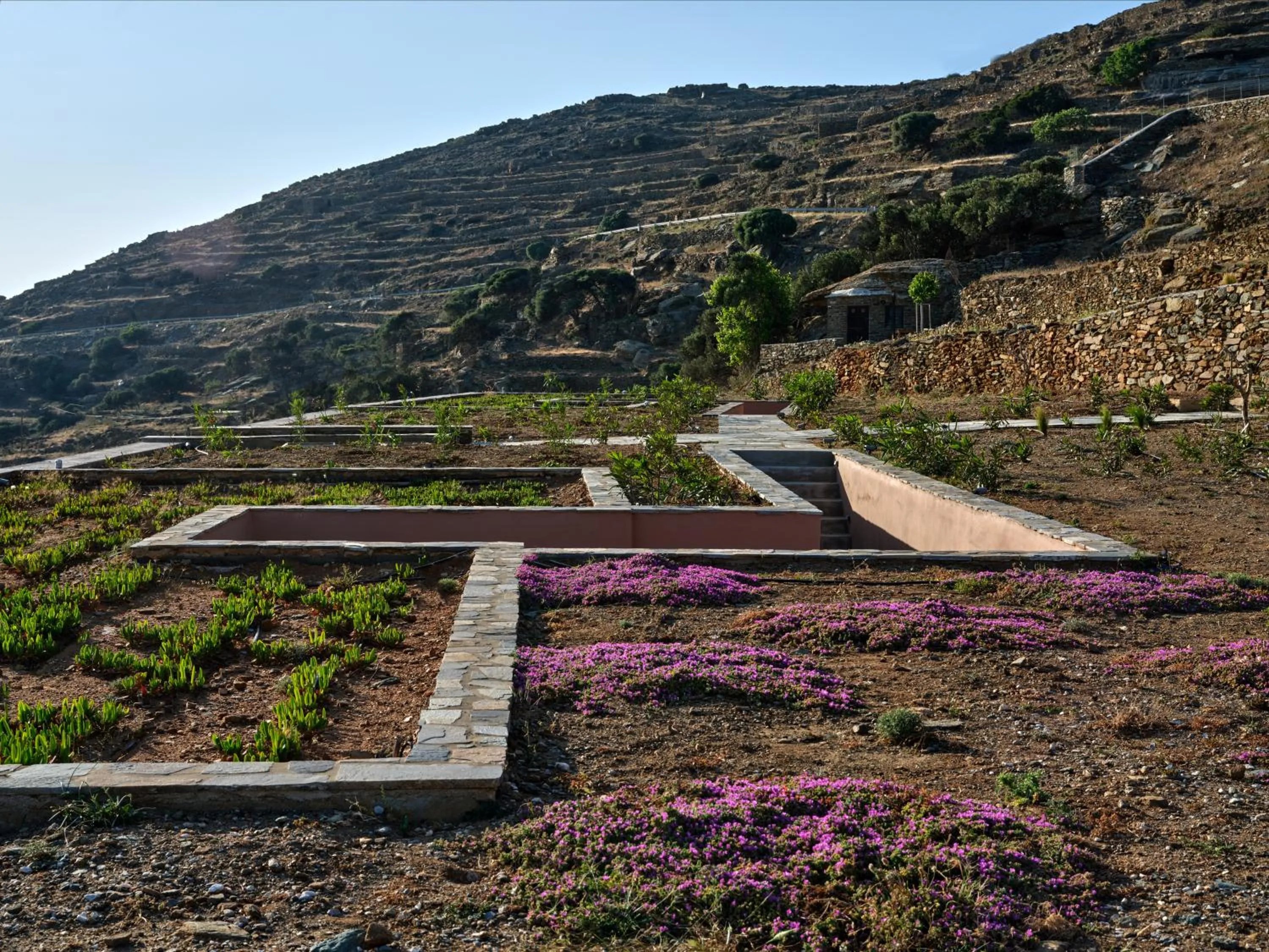 Garden in Under the Sun Cycladic Village