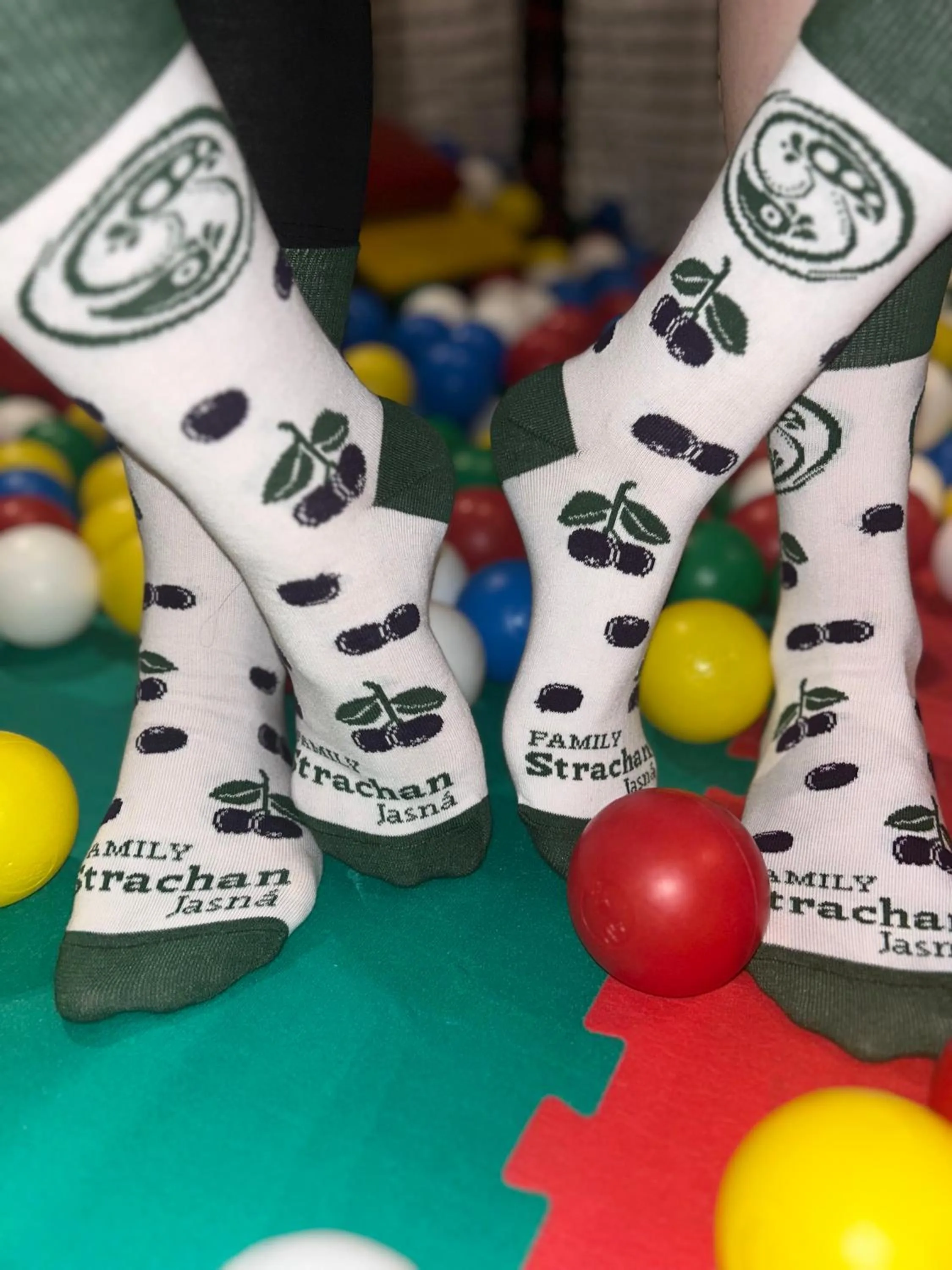 Property logo or sign in Hotel Strachan Family Jasná