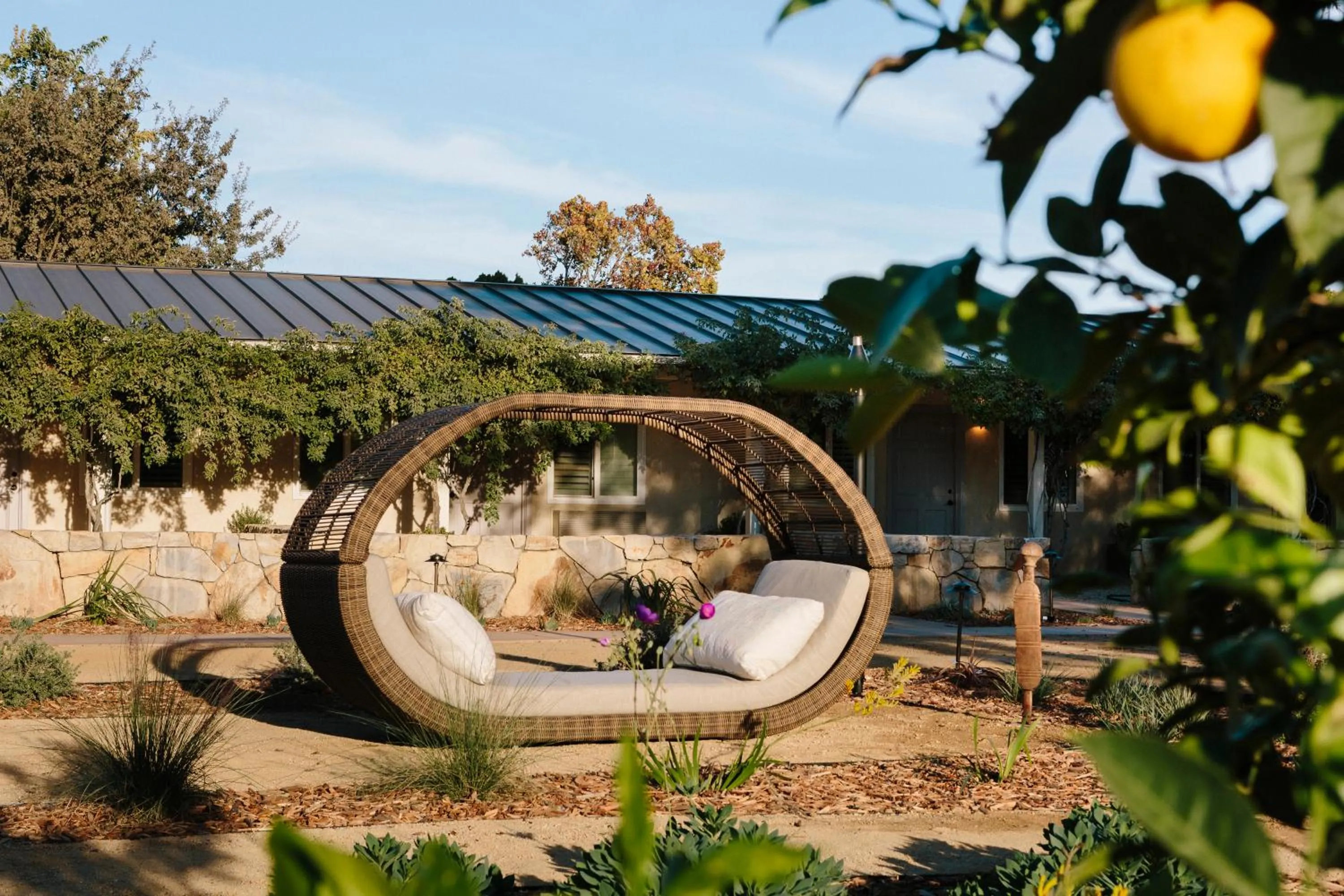 Garden in Hotel Ynez
