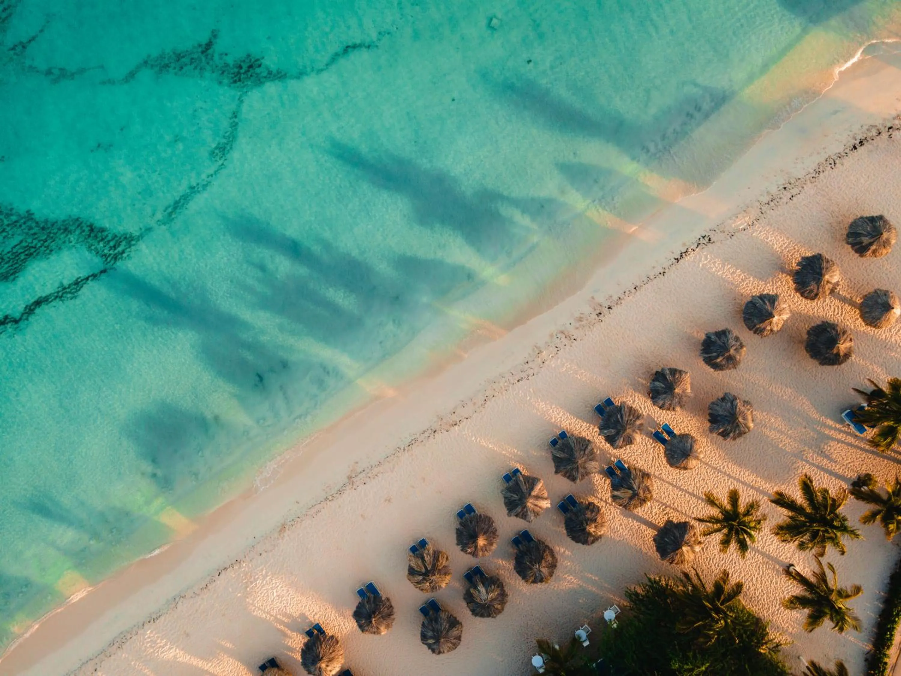 Beach in Amsterdam Manor Beach Resort