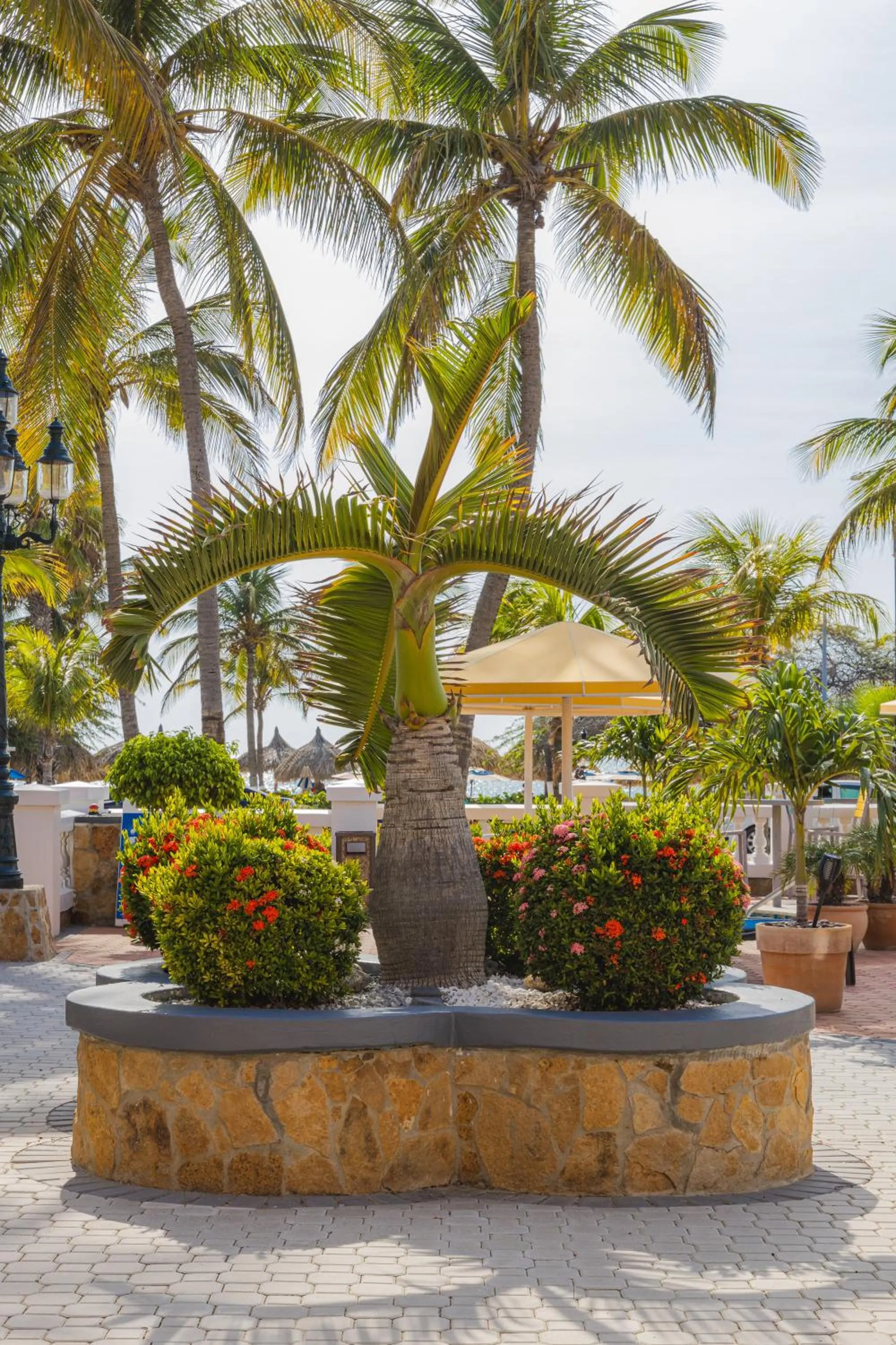 Garden view in Amsterdam Manor Beach Resort