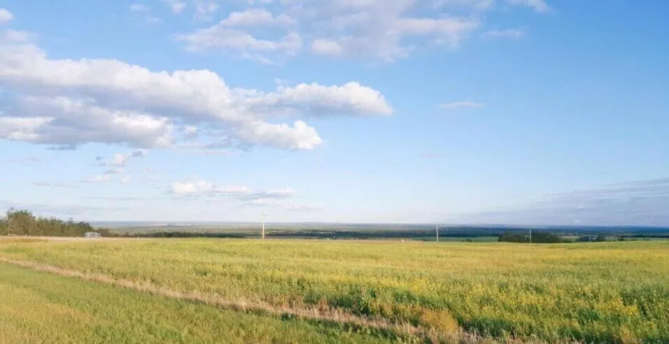 Natural landscape in Hi Valley Motor Inn