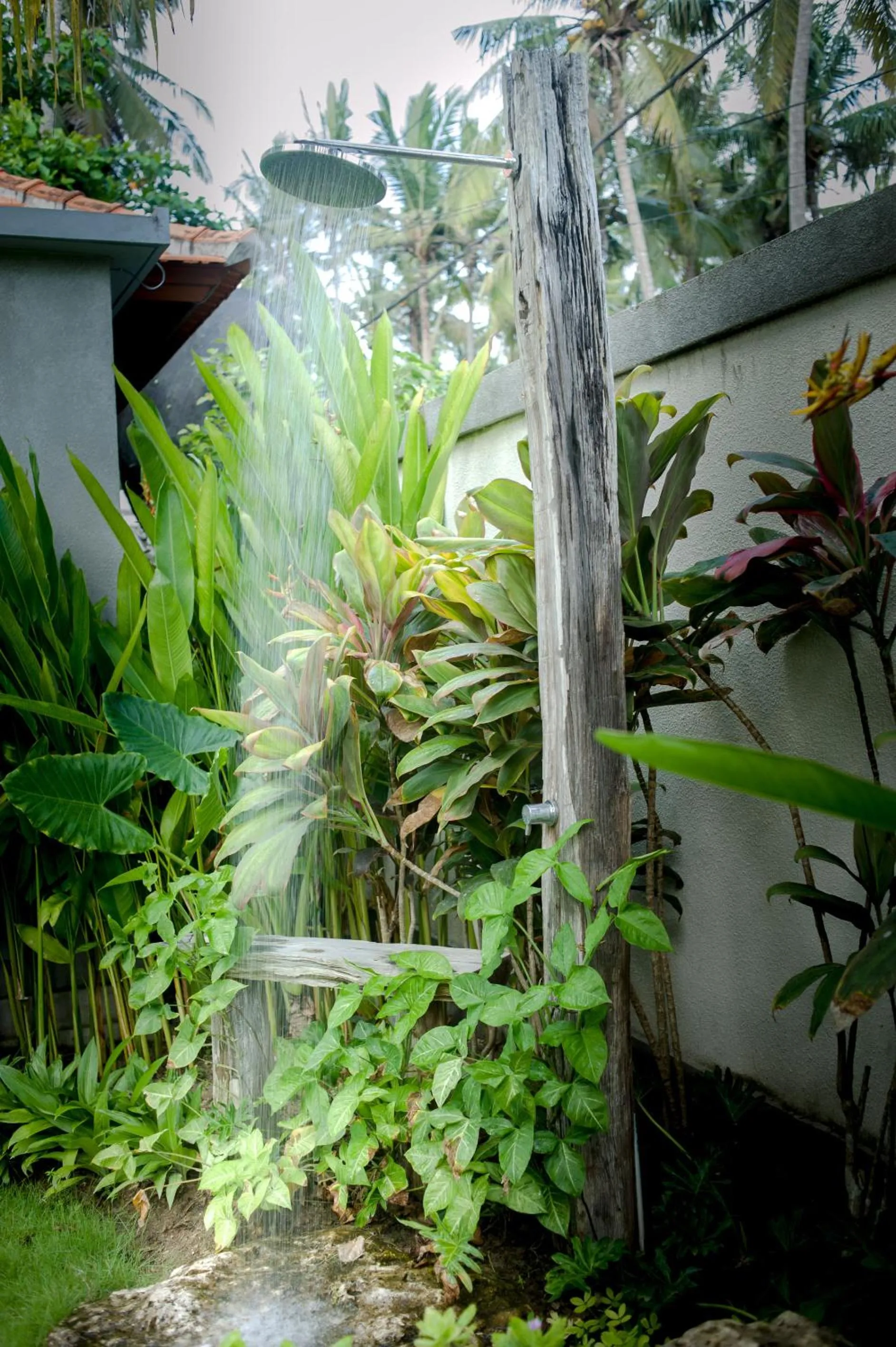 Shower in Akatara Hotel