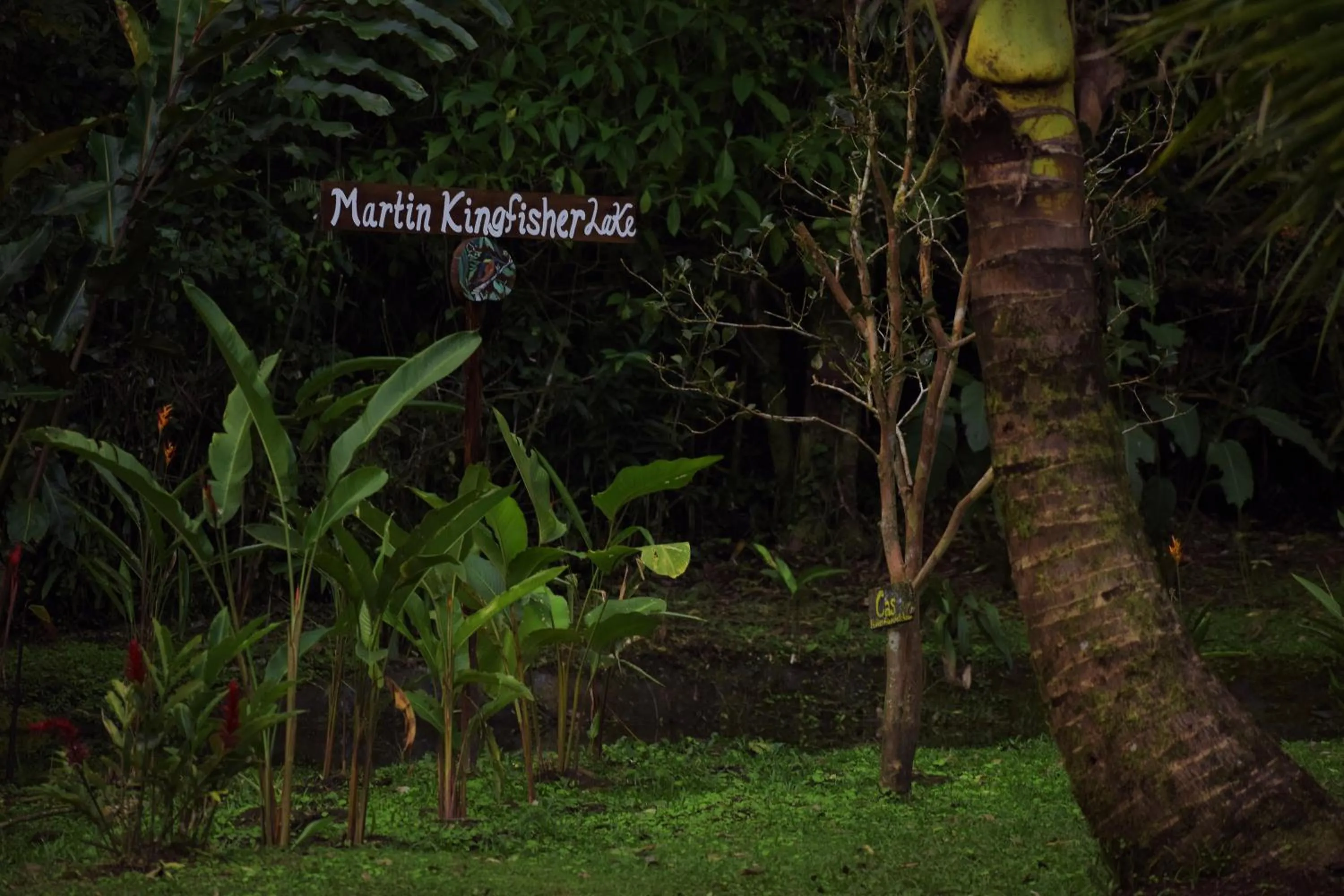 Garden in Essence Arenal Spa & Yoga