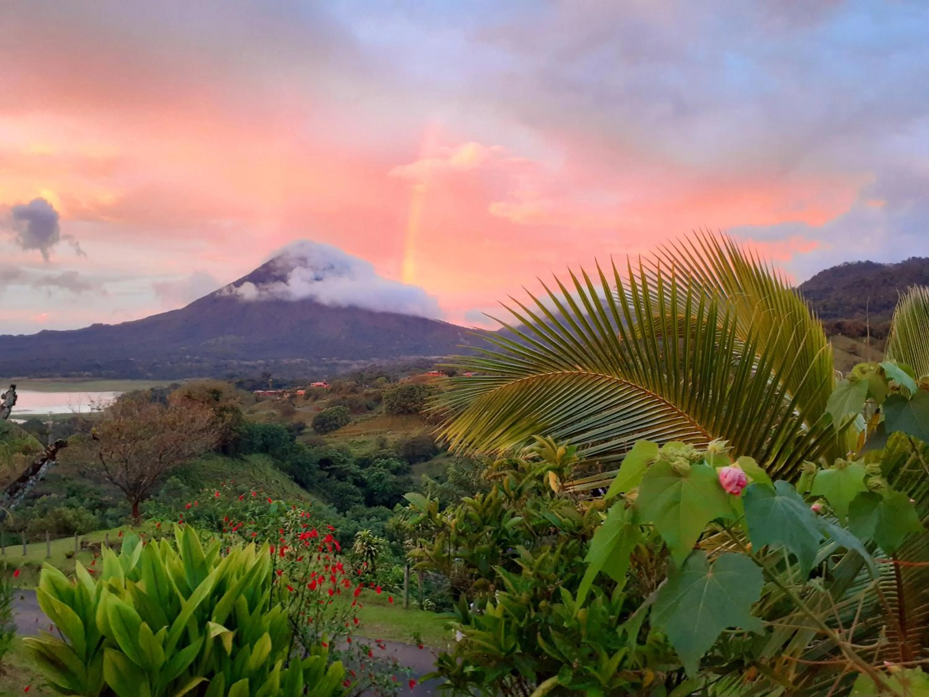 Garden view in Essence Arenal Spa & Yoga