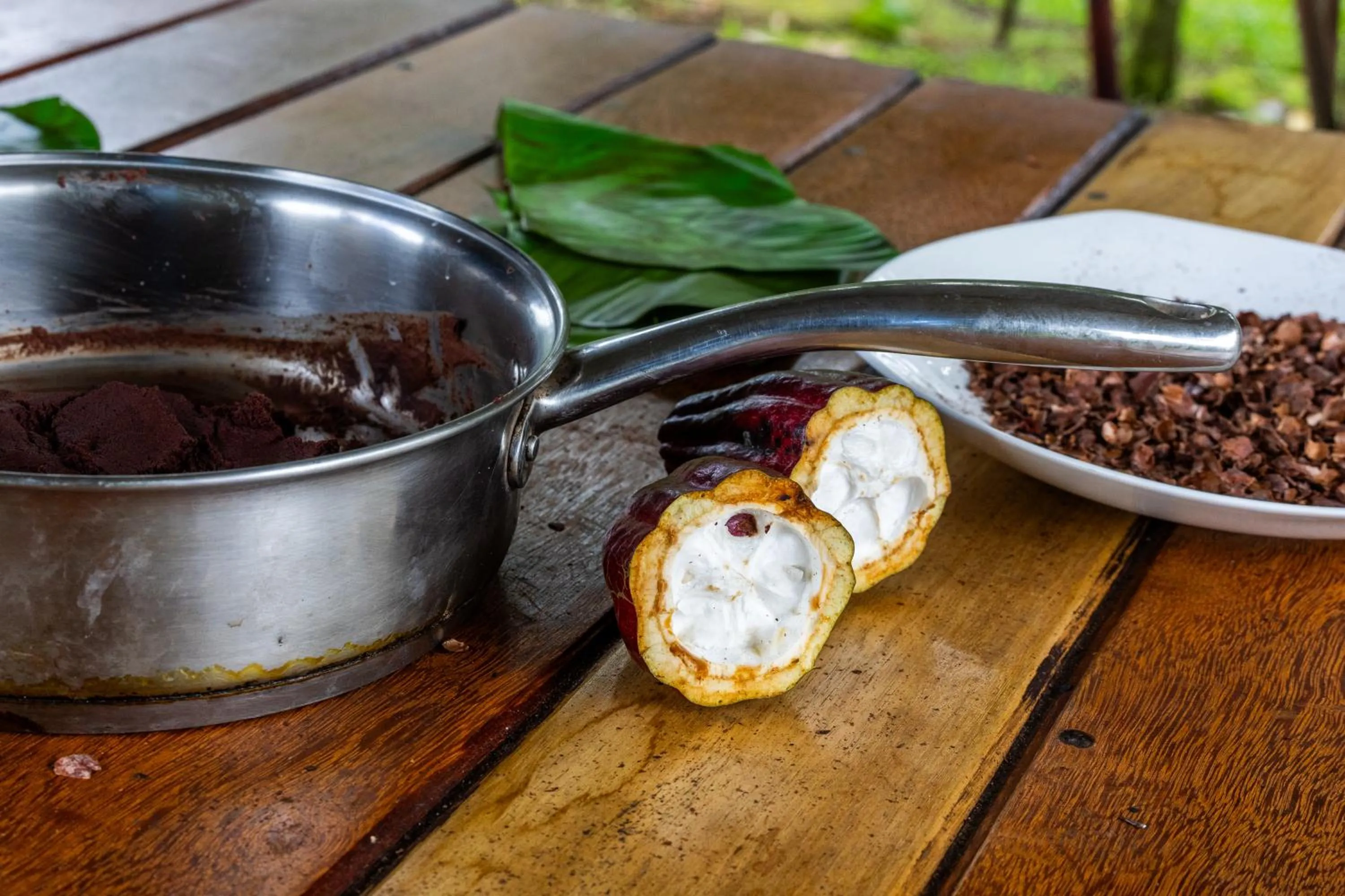 Essence Arenal Spa & Yoga