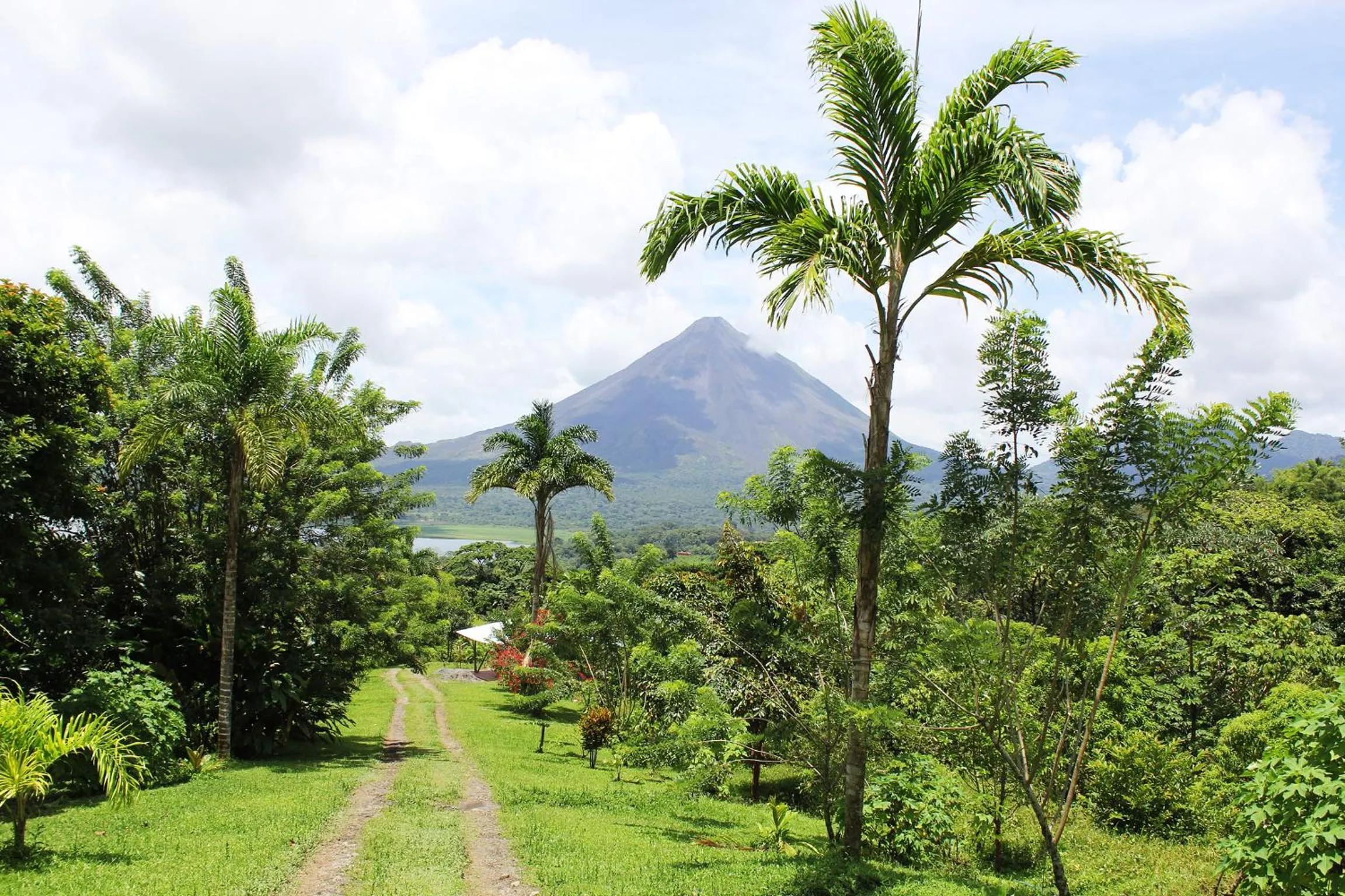 Natural landscape in Essence Arenal Spa & Yoga