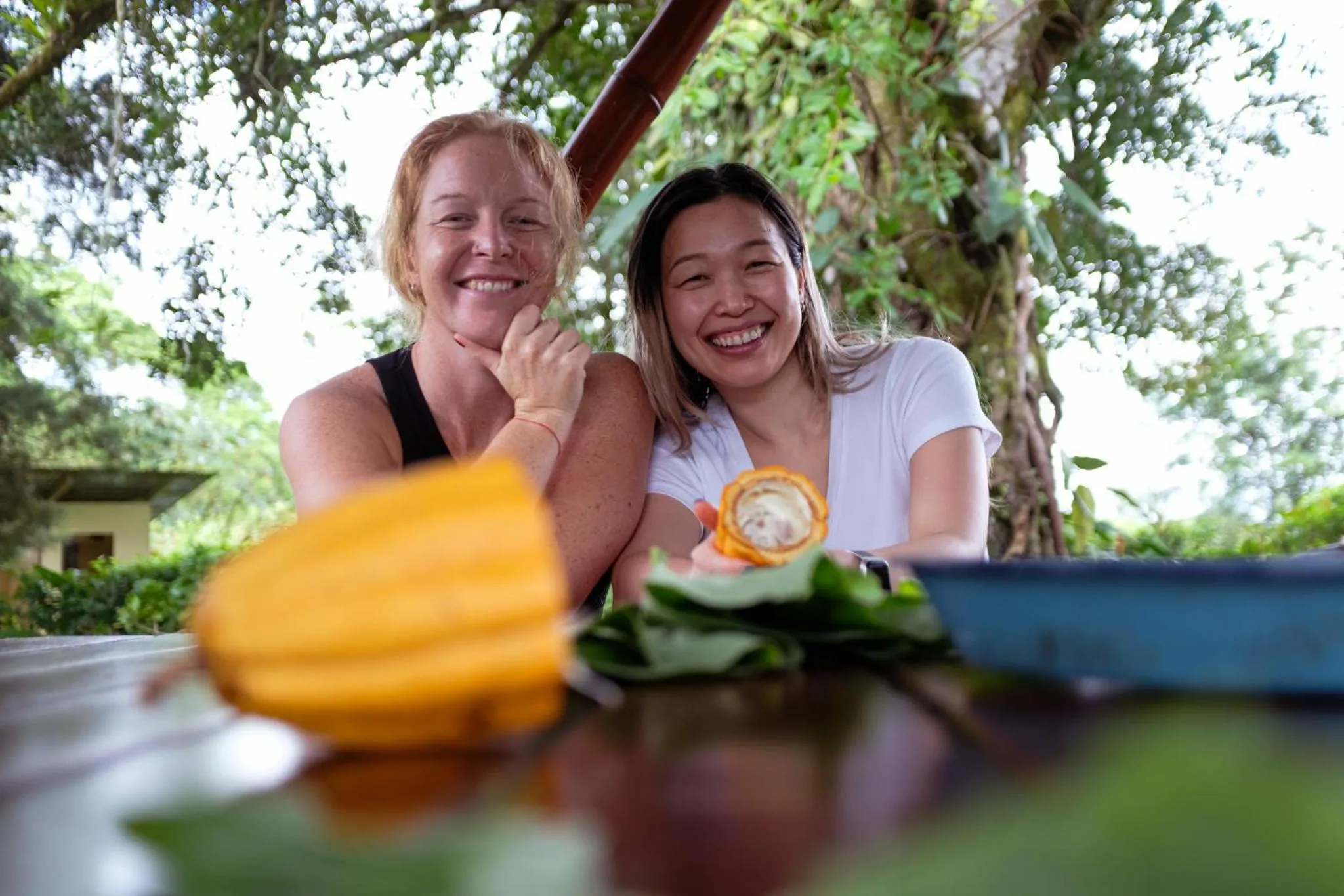 Activities in Essence Arenal Spa & Yoga
