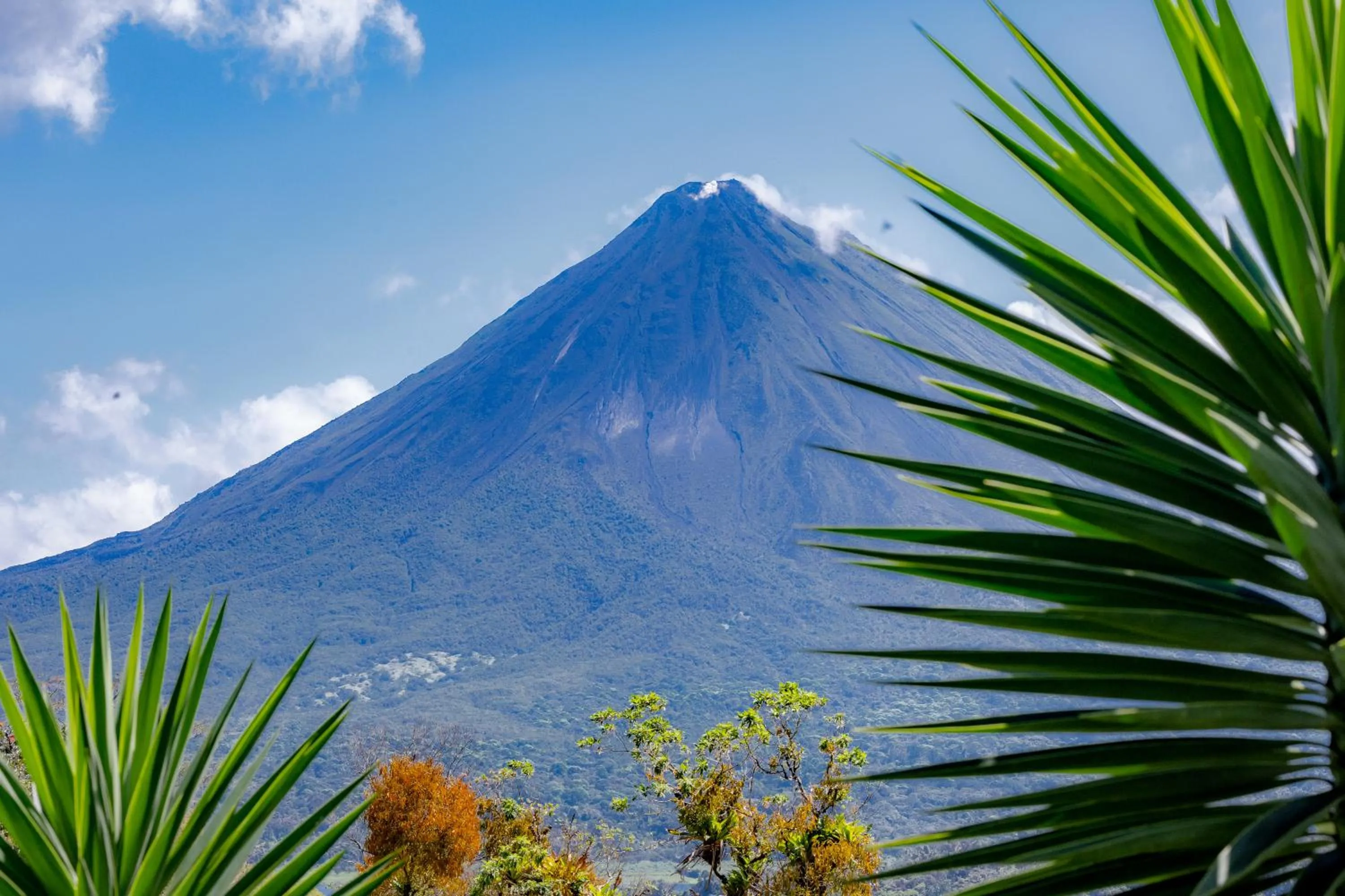 Essence Arenal Spa & Yoga