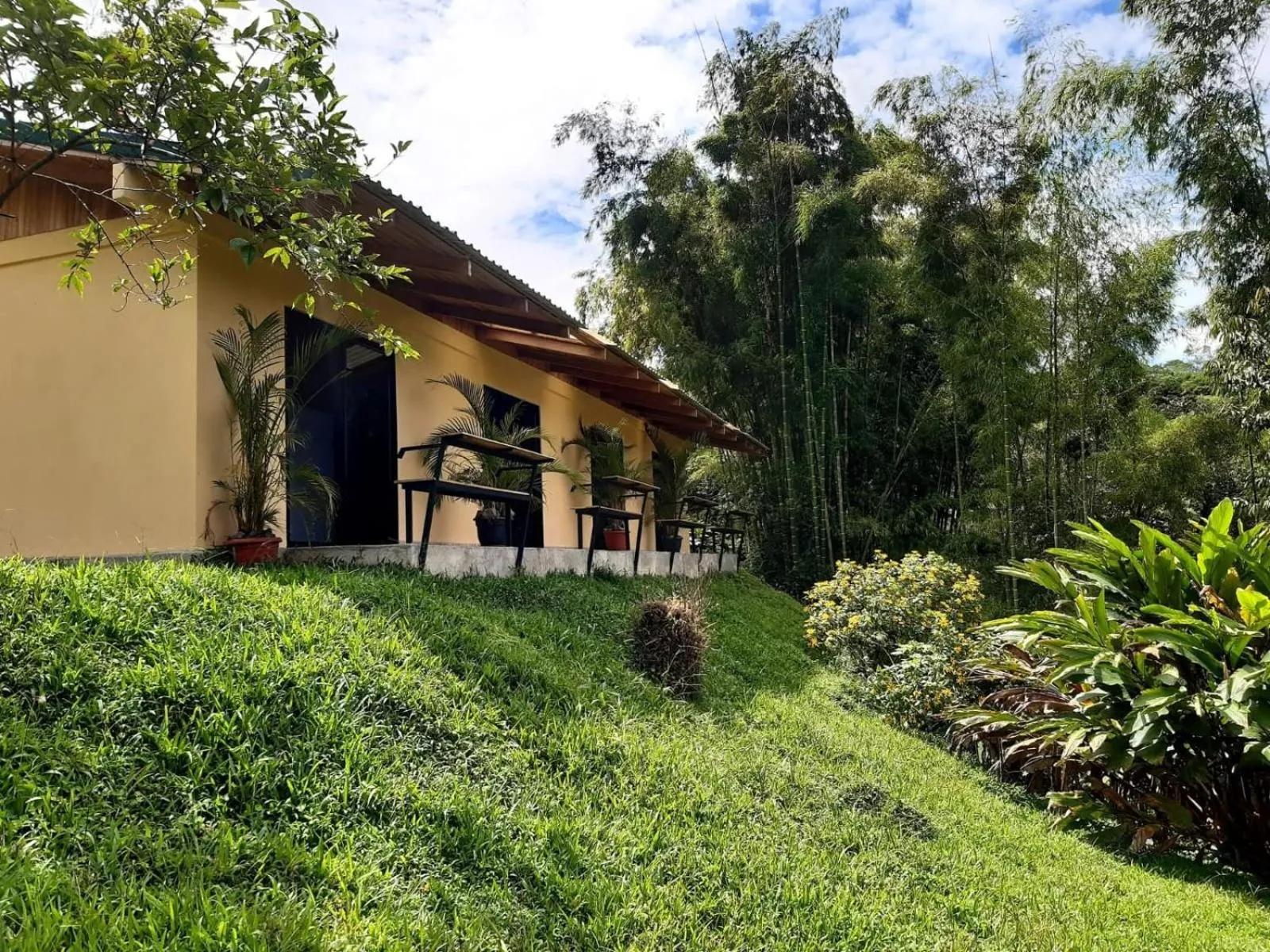 Essence Arenal Spa & Yoga