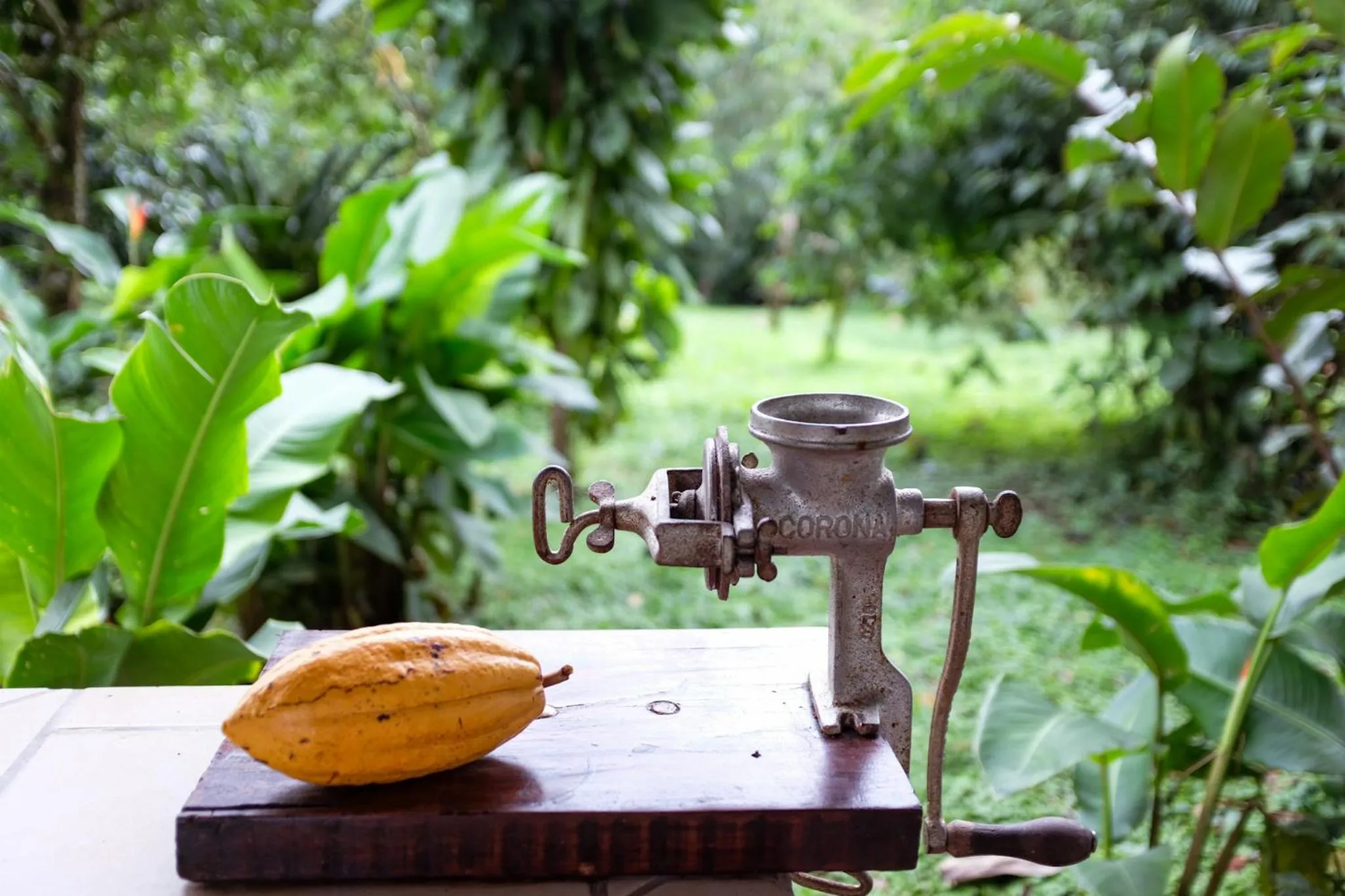 Activities in Essence Arenal Spa & Yoga