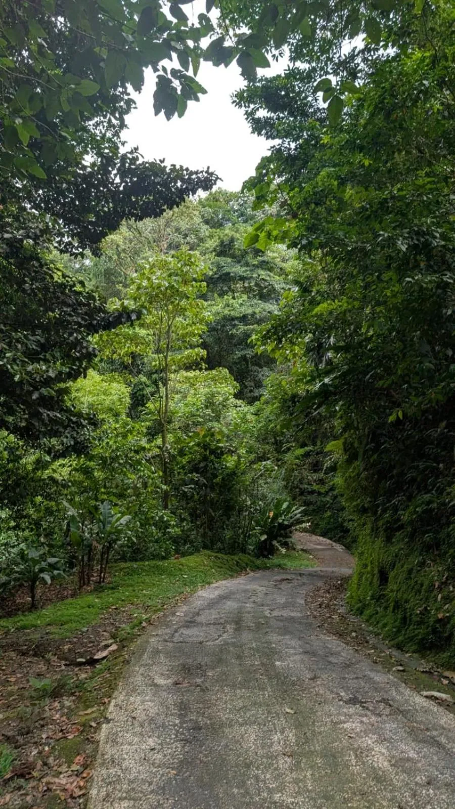Hiking in Essence Arenal Spa & Yoga