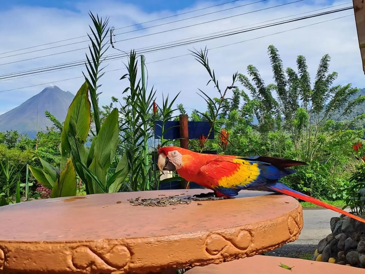 Garden in Essence Arenal Spa & Yoga