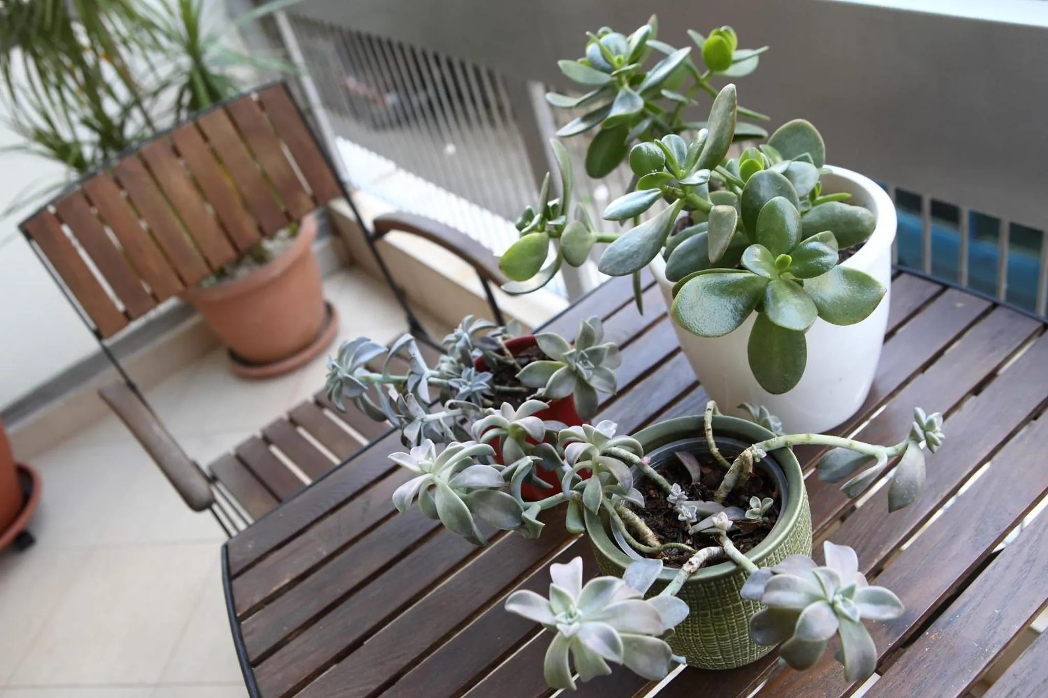 Balcony/Terrace in Best House, Athens Central Flat, Ithakis Str