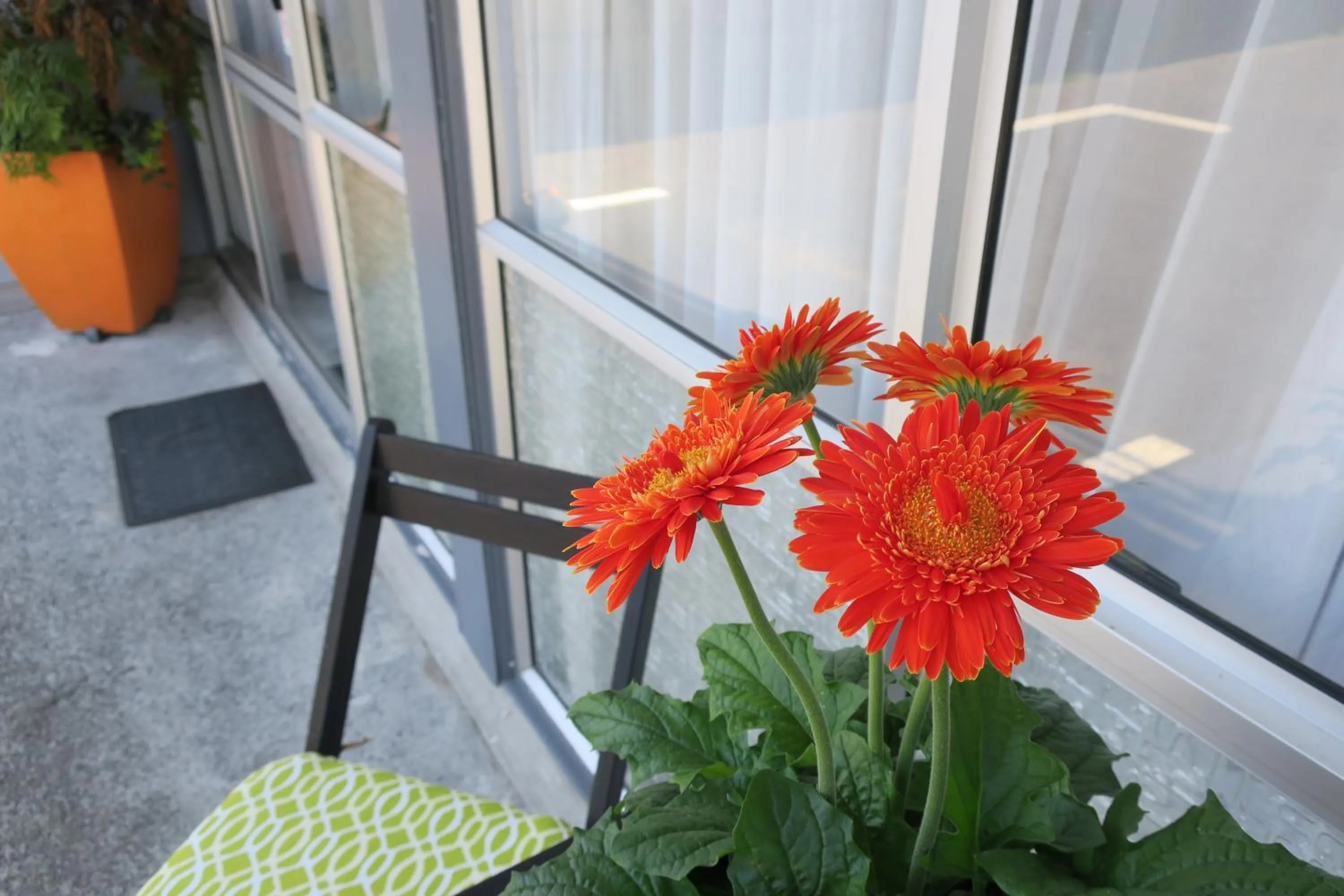 Natural landscape in Roselands Motel