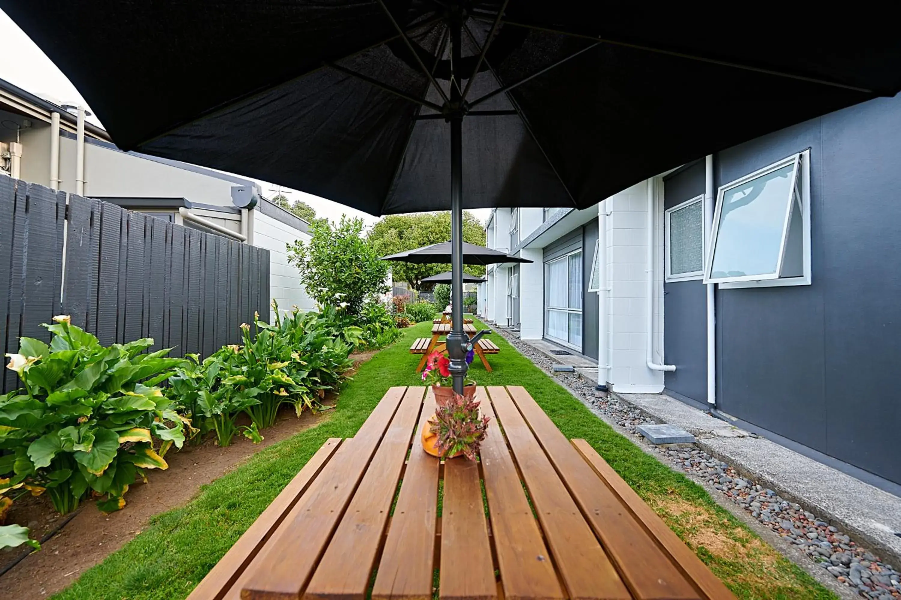 One-Bedroom Apartment in Roselands Motel One-Bedroom Apartment in Roselands Motel