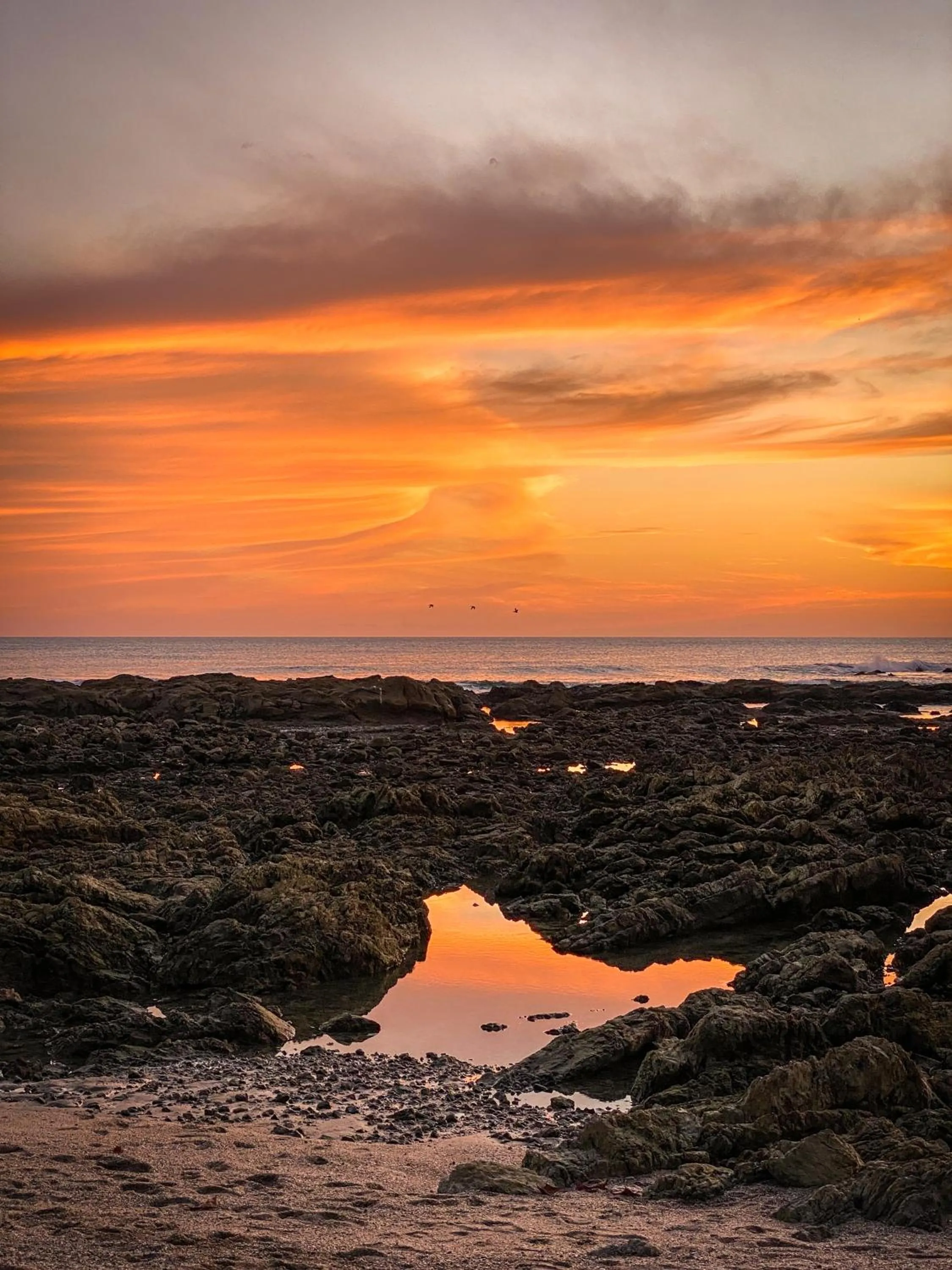 Beach in Hotel Vista de Olas