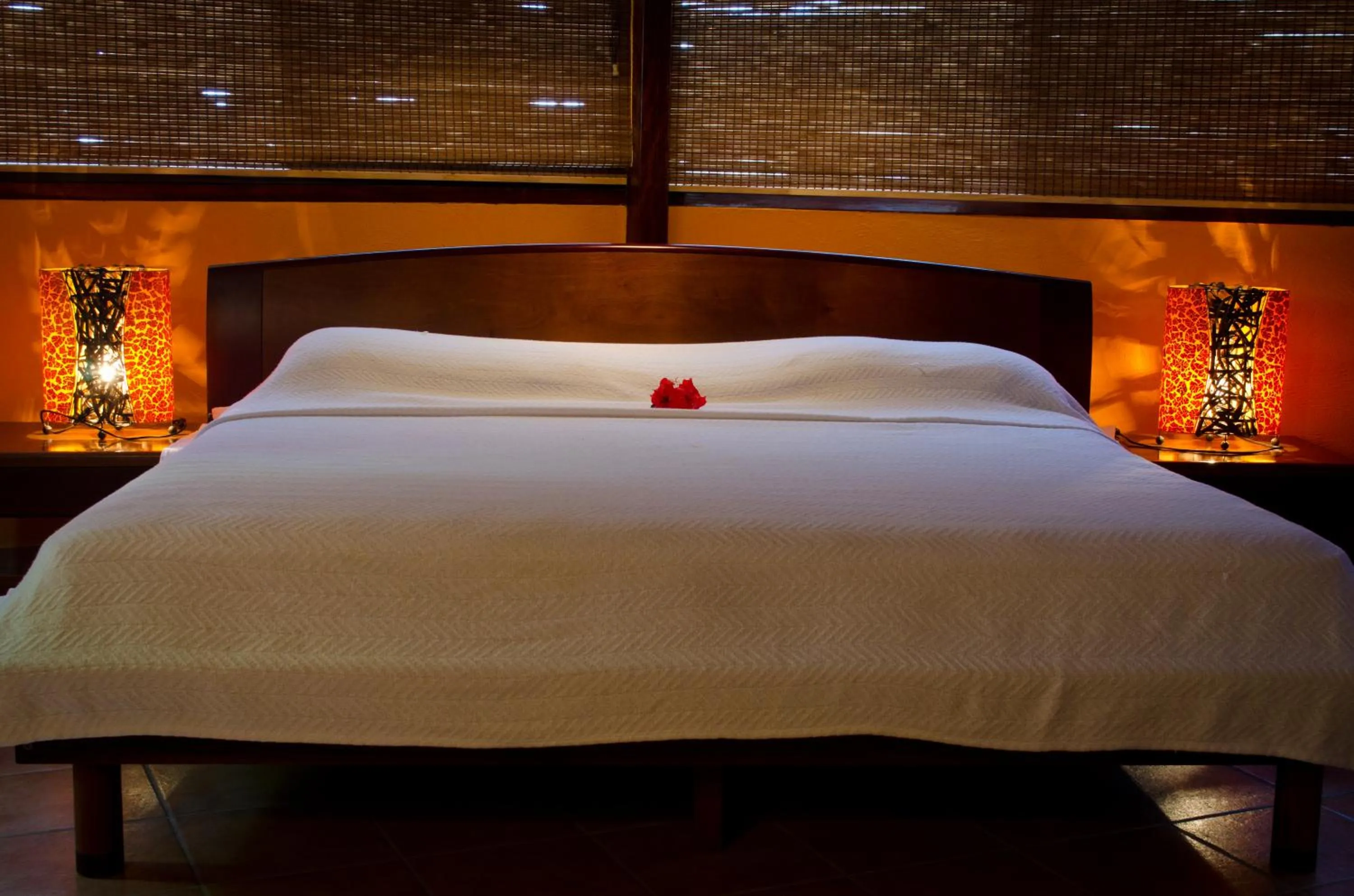 Patio, Bed in Hotel Vista de Olas