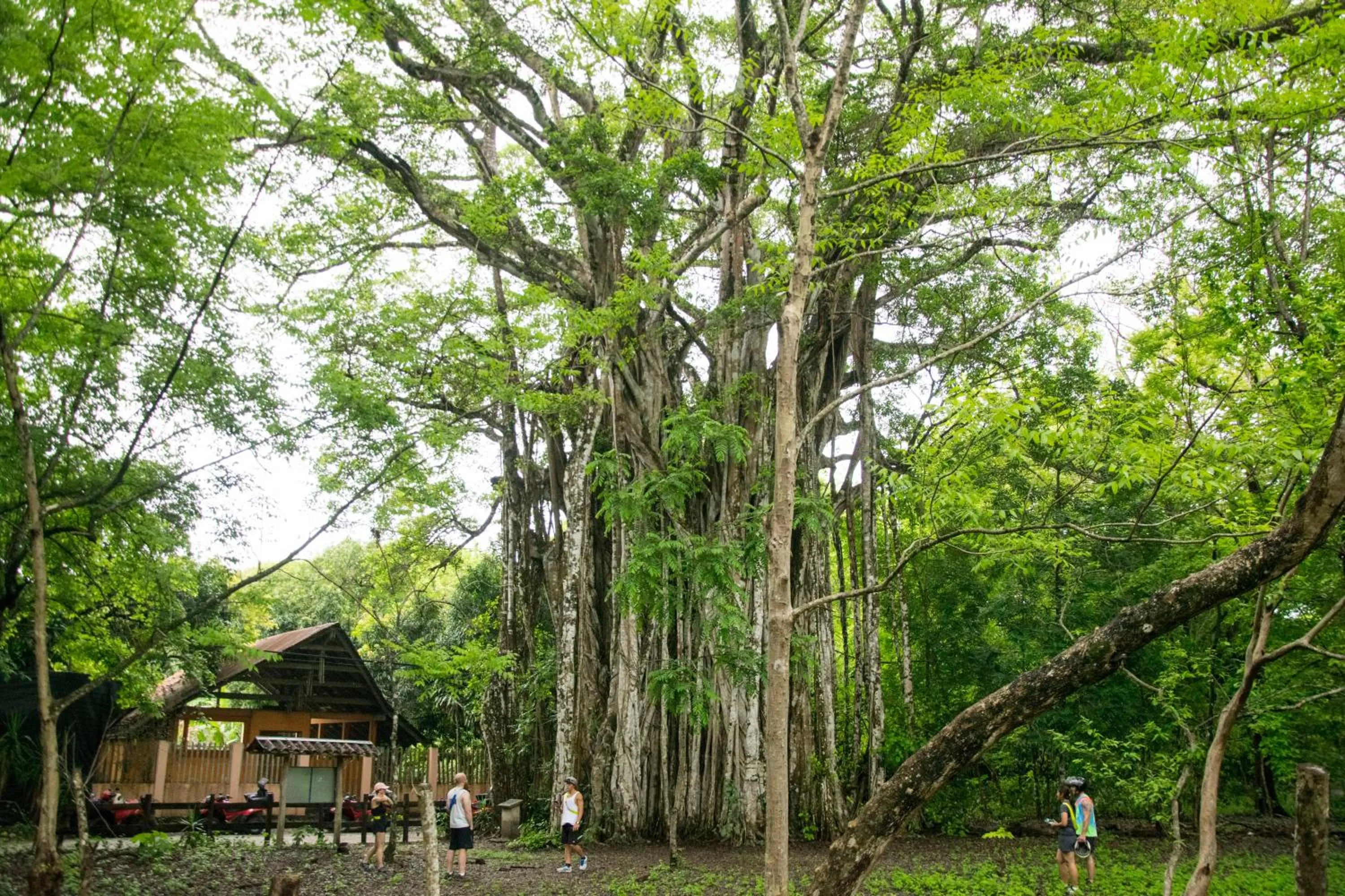 Garden in Hotel Vista de Olas