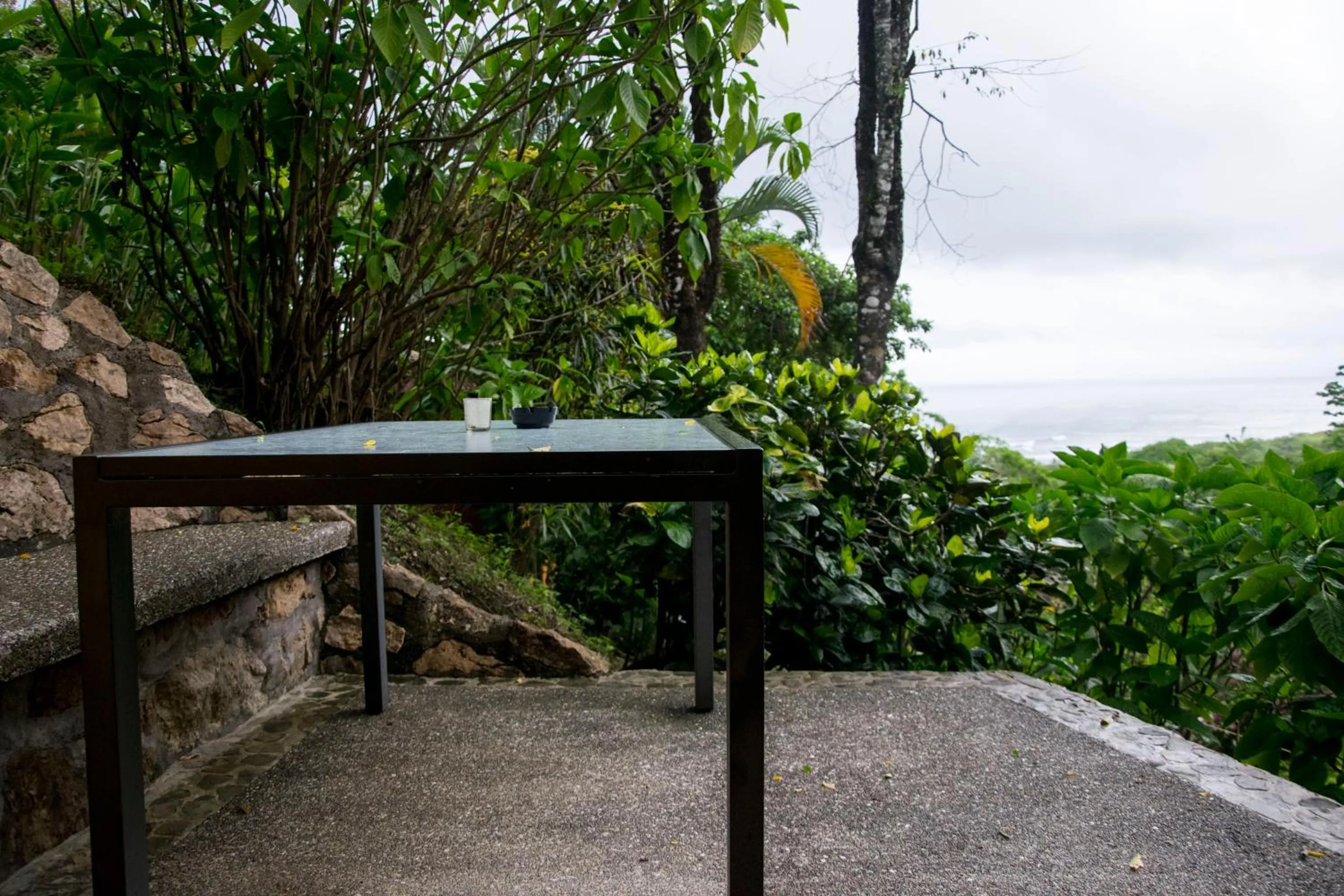 Garden view in Hotel Vista de Olas