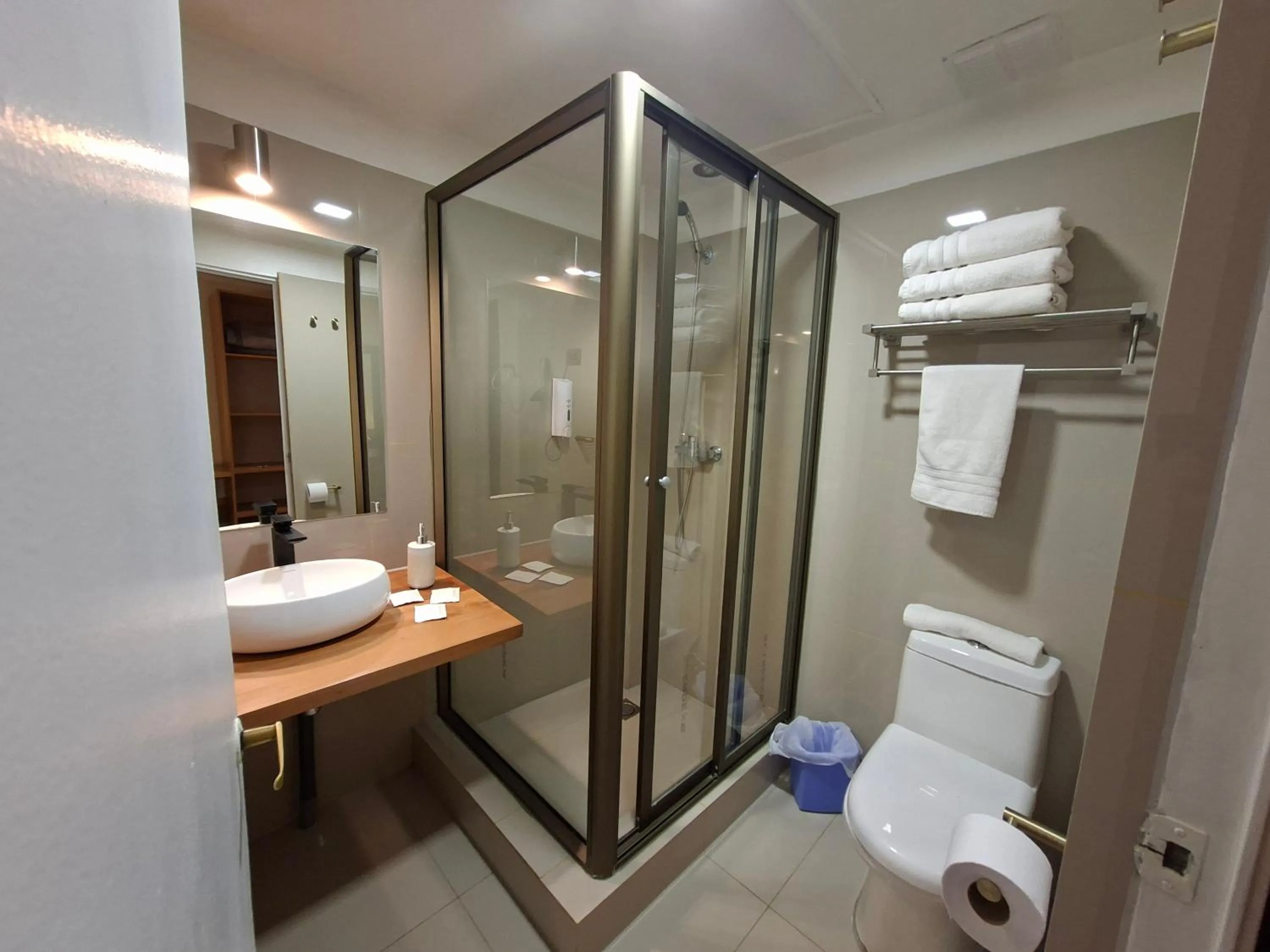 Bathroom in Hotel Los Andes