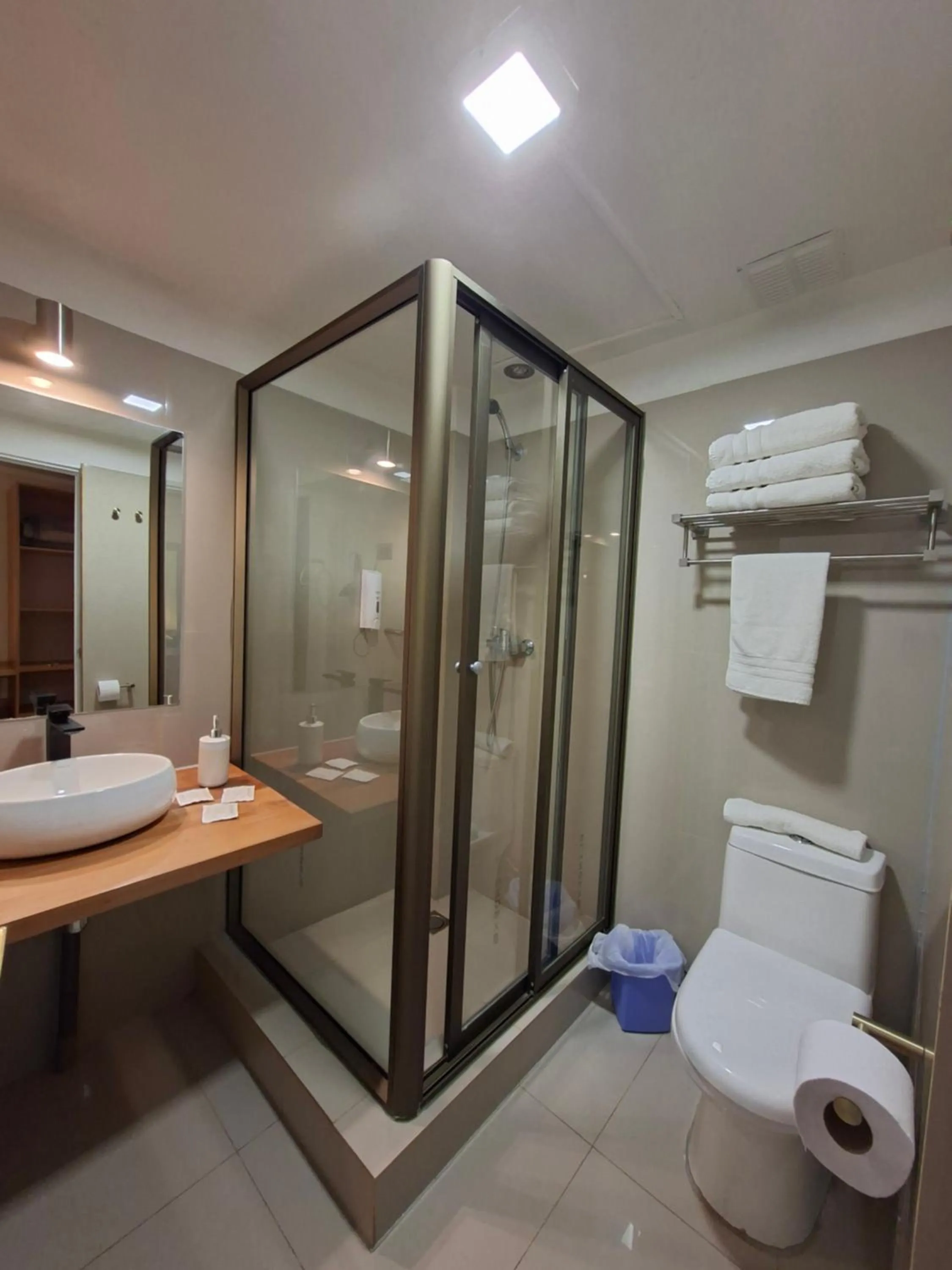 Bathroom in Hotel Los Andes