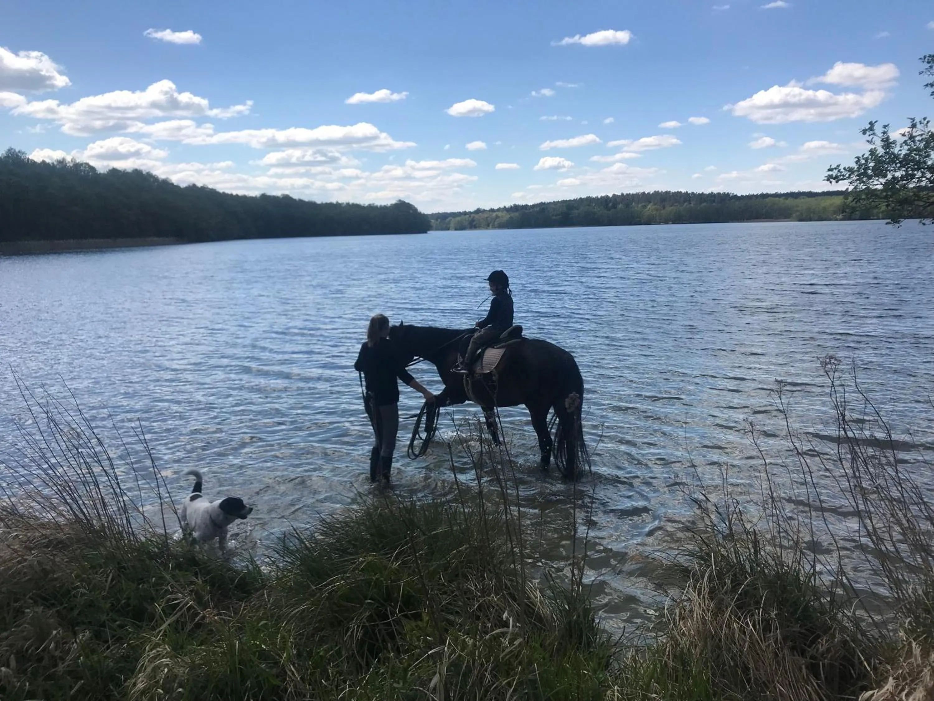 Horse-riding in 5 Sterne Ferienhaus direkt am See mit Sauna-Kamin-Garten