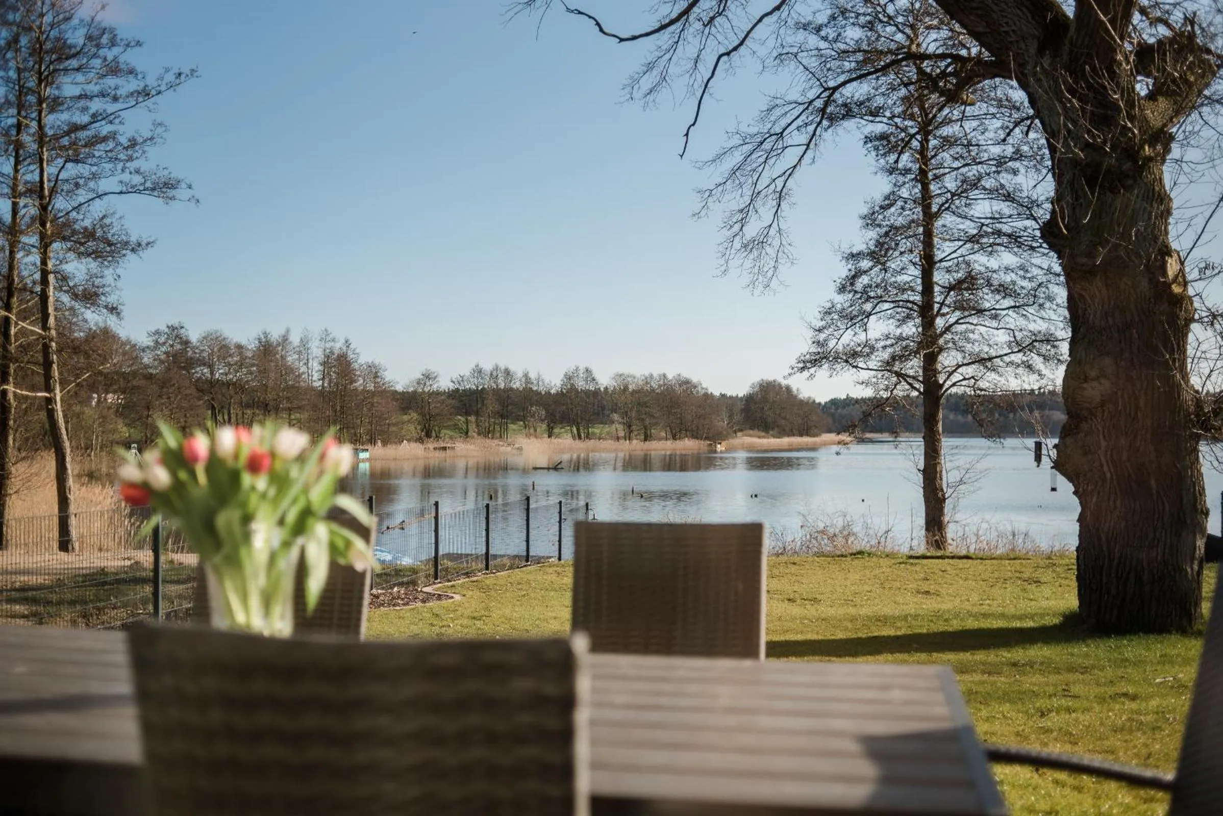 BBQ facilities in 5 Sterne Ferienhaus direkt am See mit Sauna-Kamin-Garten