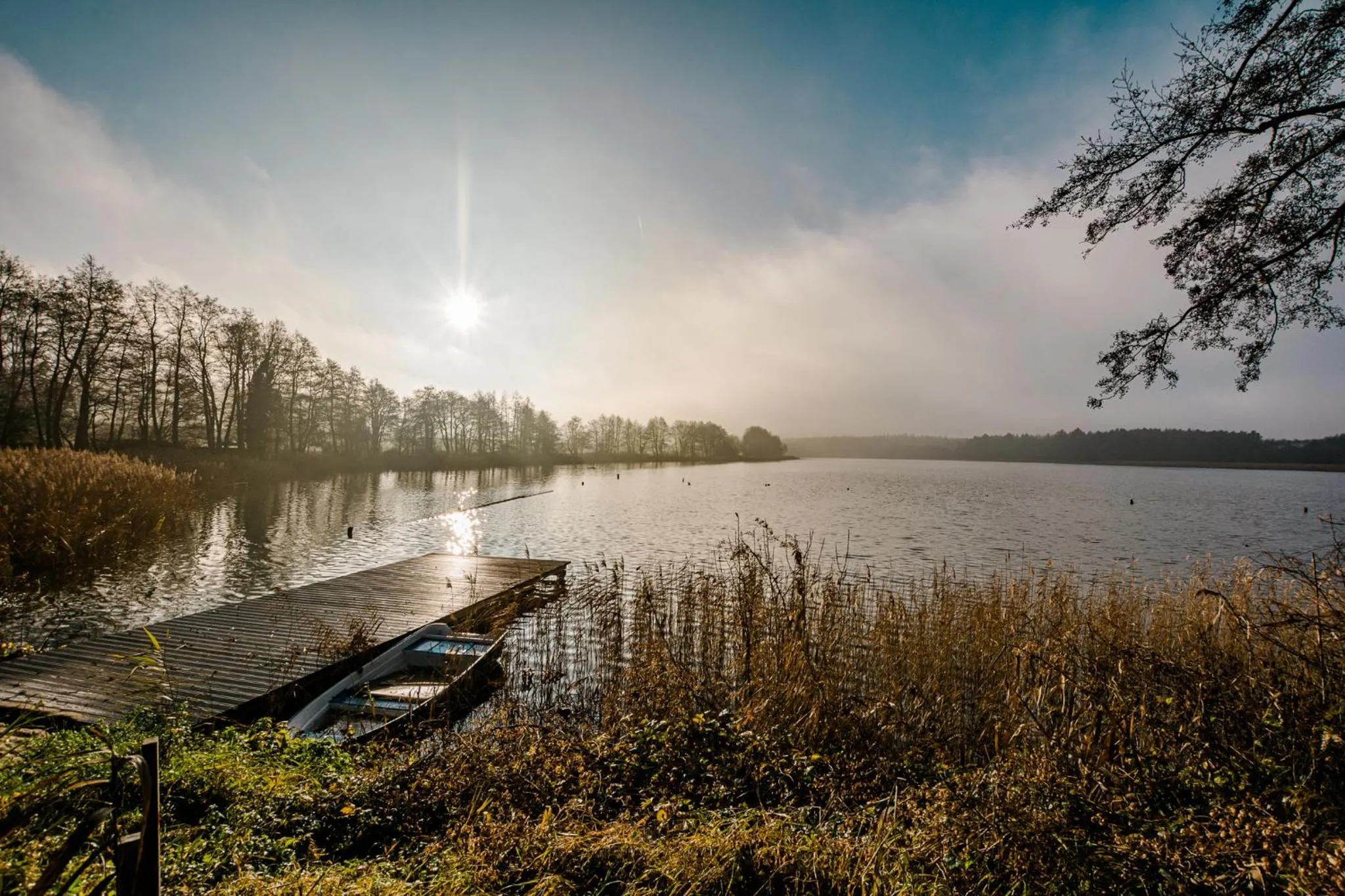 Natural landscape in 5 Sterne Ferienhaus direkt am See mit Sauna-Kamin-Garten