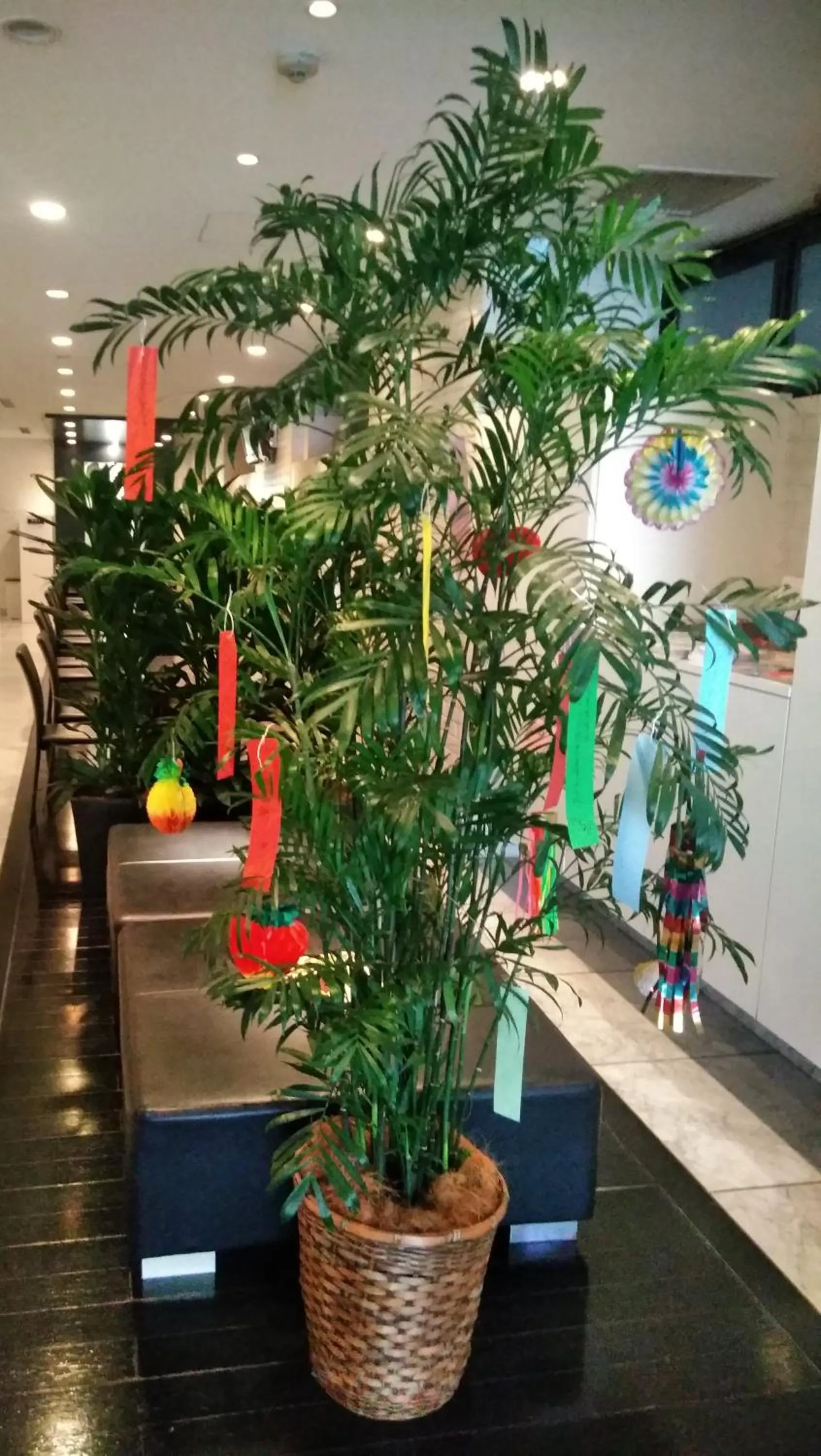 Hamilton Hotel Black