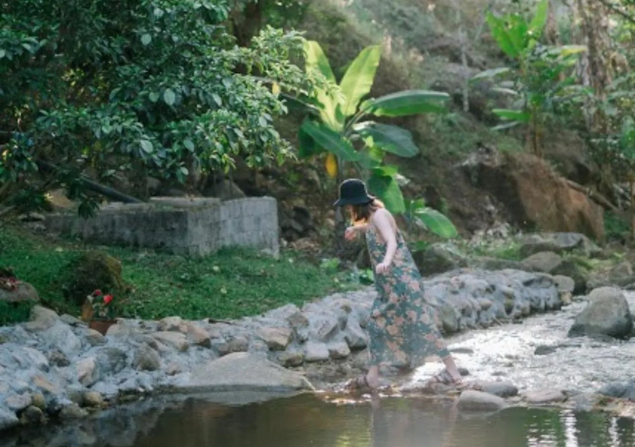 Mountain view in The Stream House