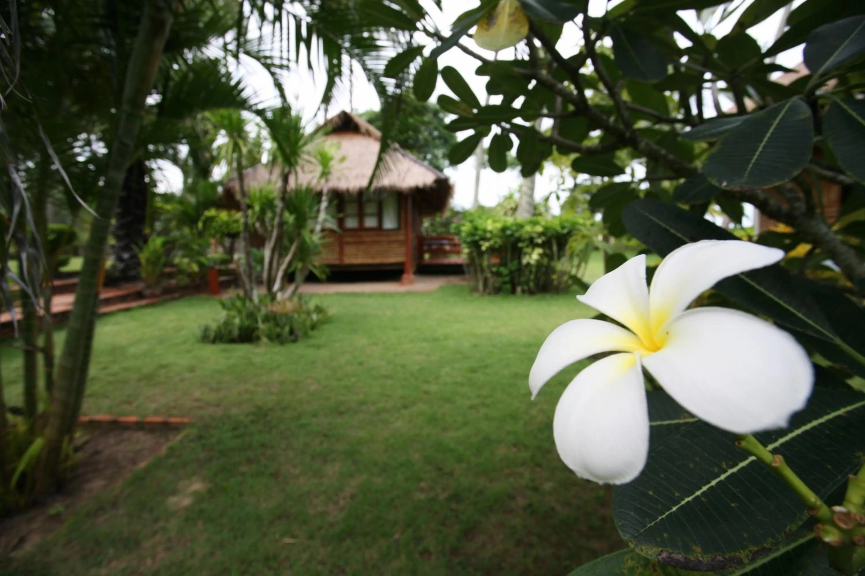 Garden view in Suan Bankrut Beach Resort