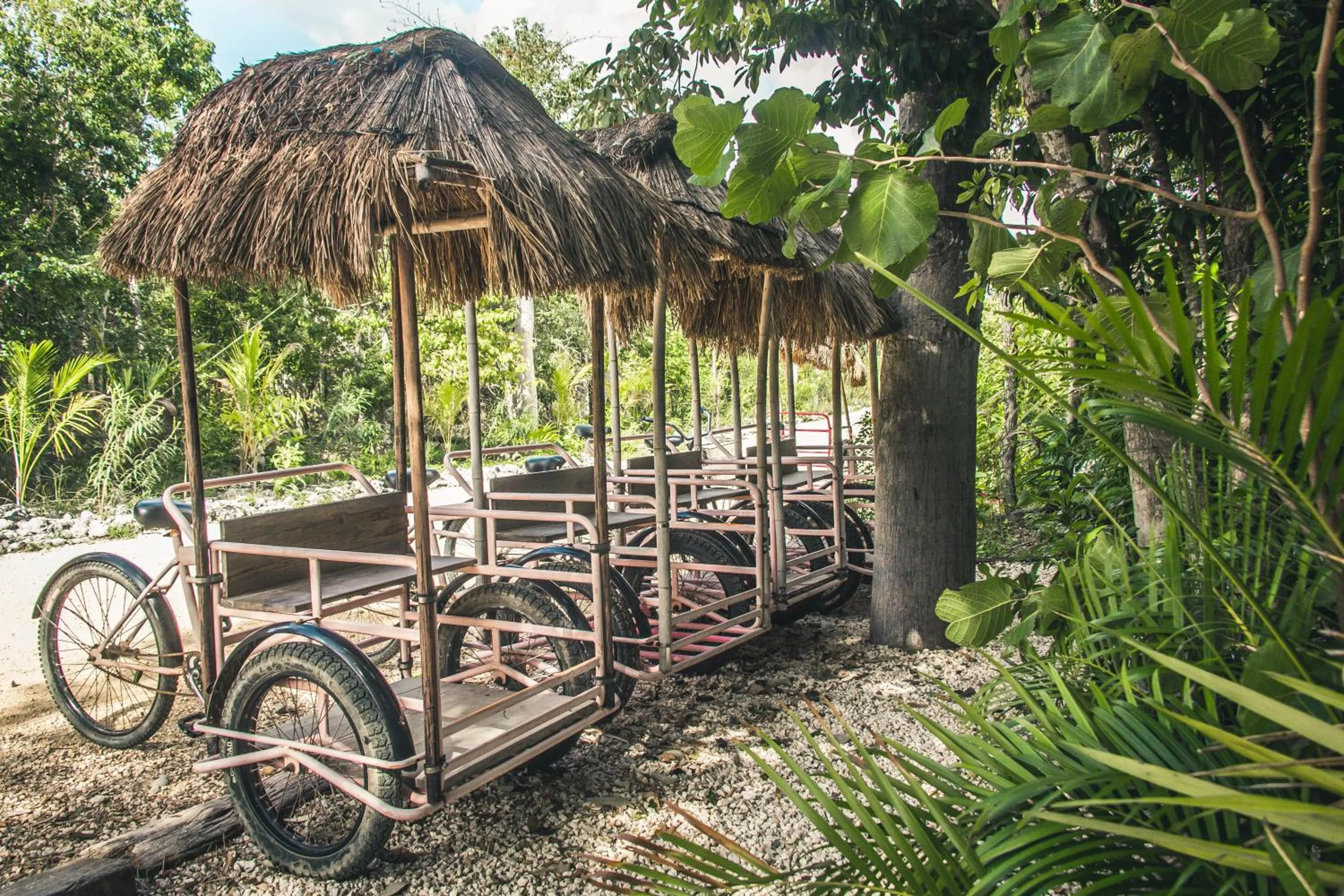 Garden in Roc Jungle Tulum