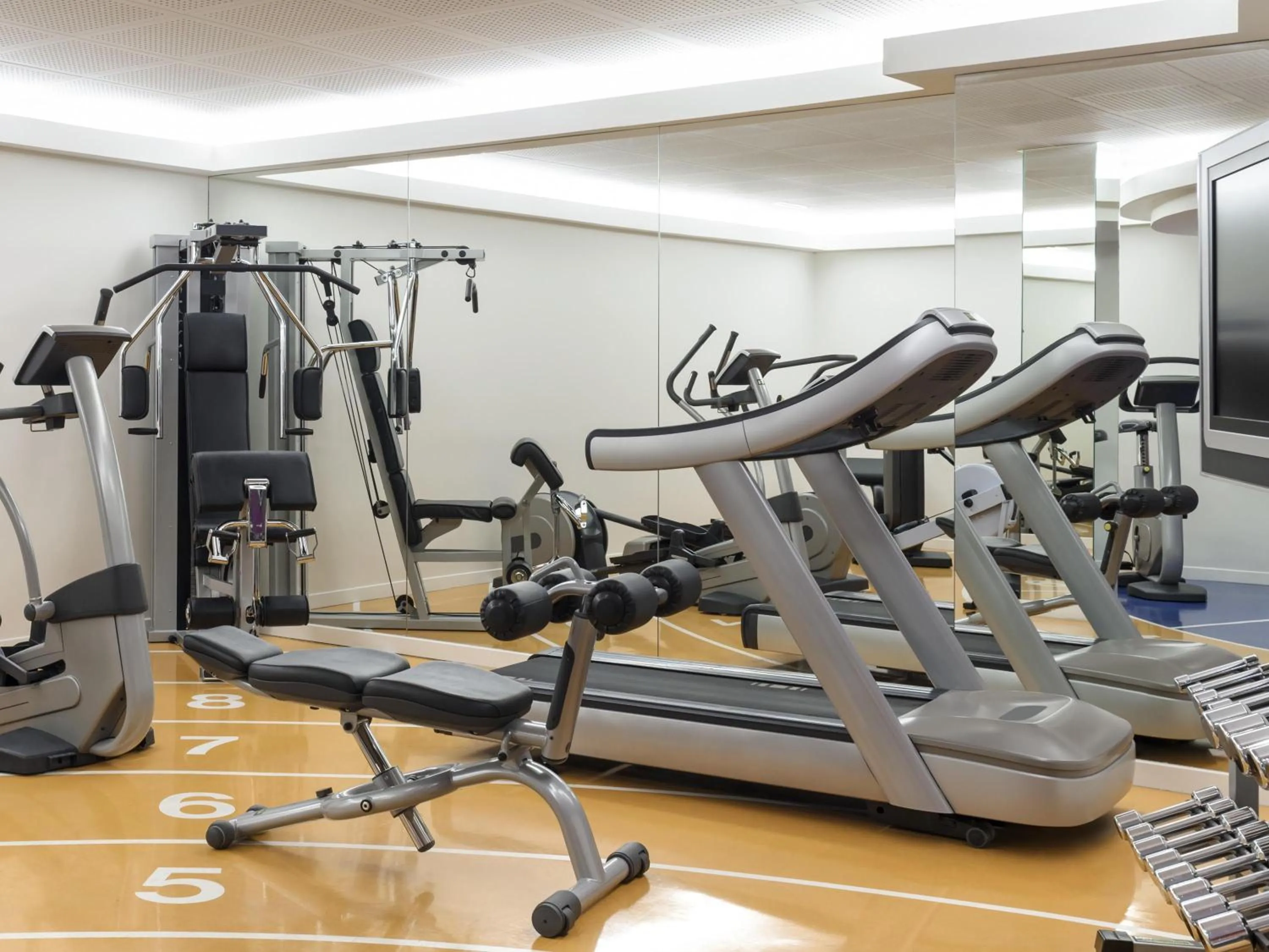 Fitness centre/facilities in Novotel Genève Centre