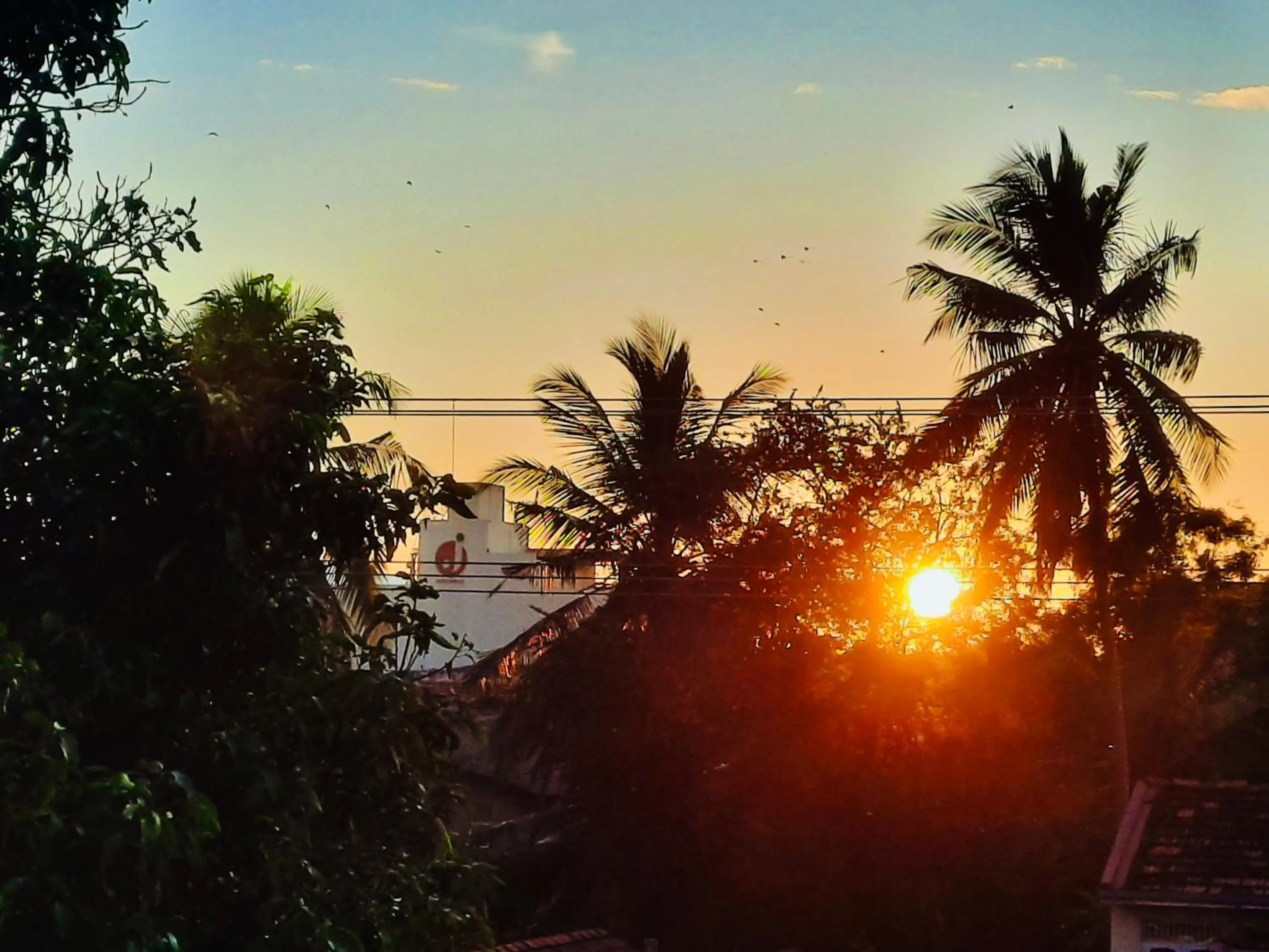 View (from property/room) in Hotel Dorset