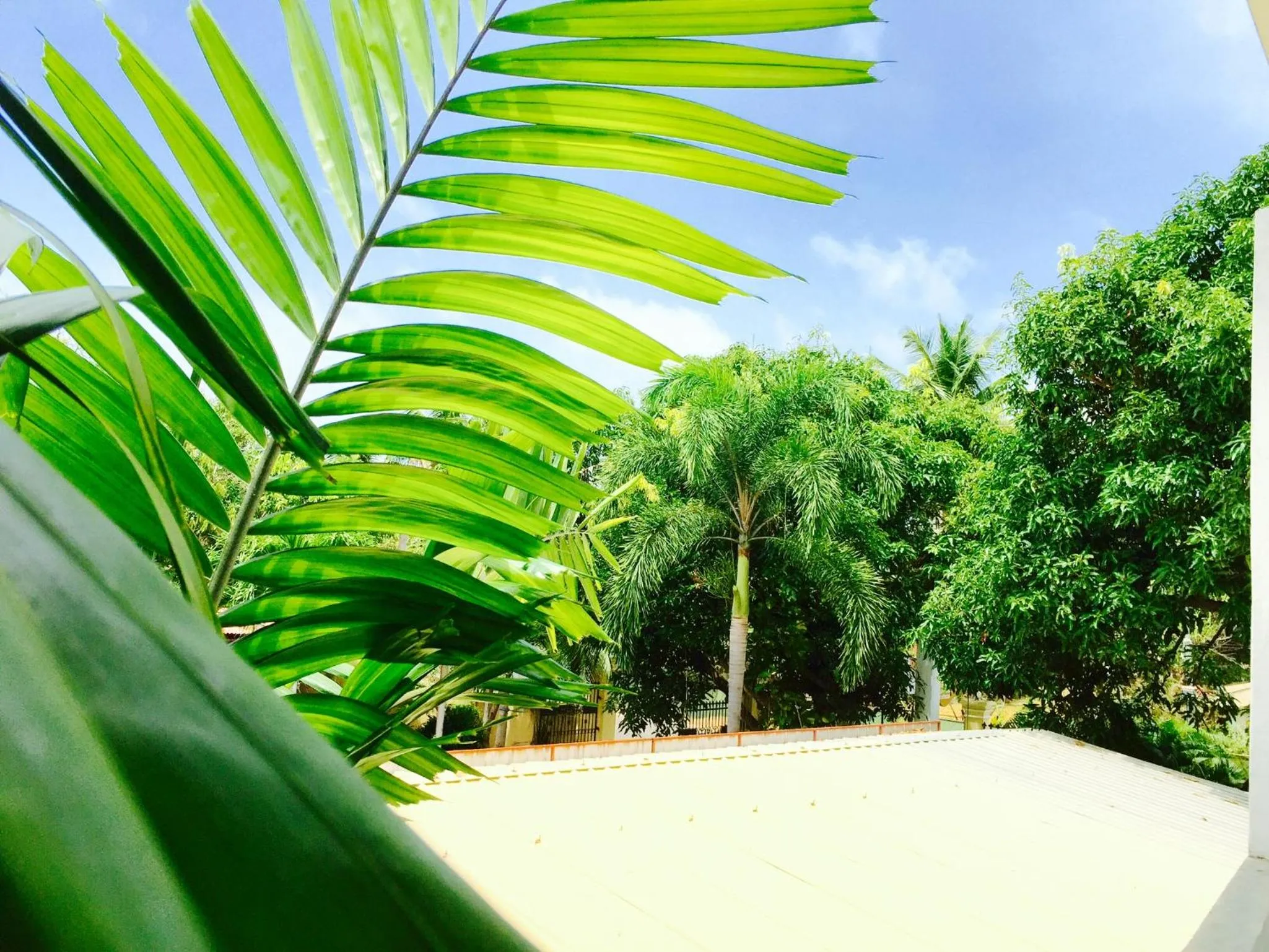 Balcony/Terrace in Hotel Dorset