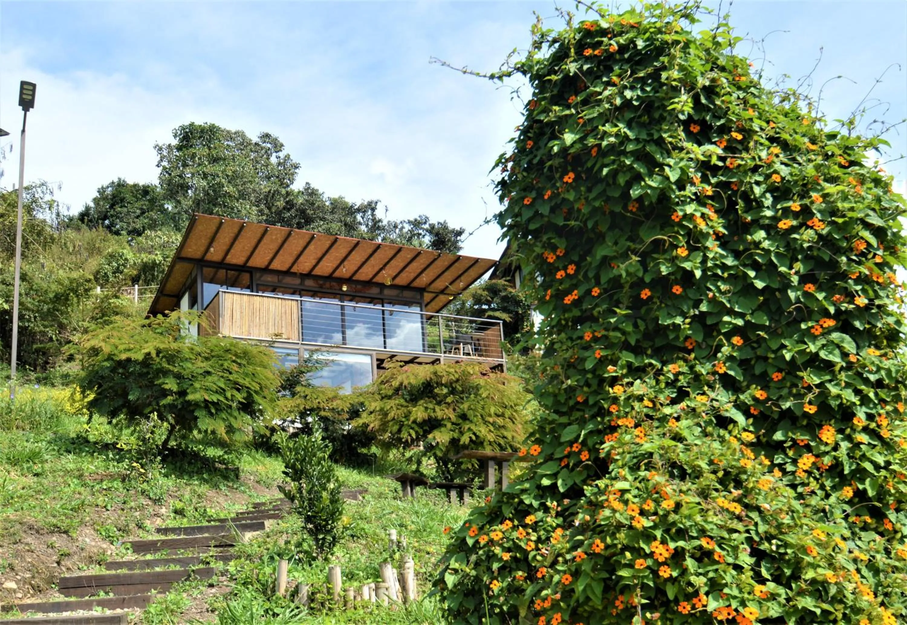 Property building in Natubri Ecohotel