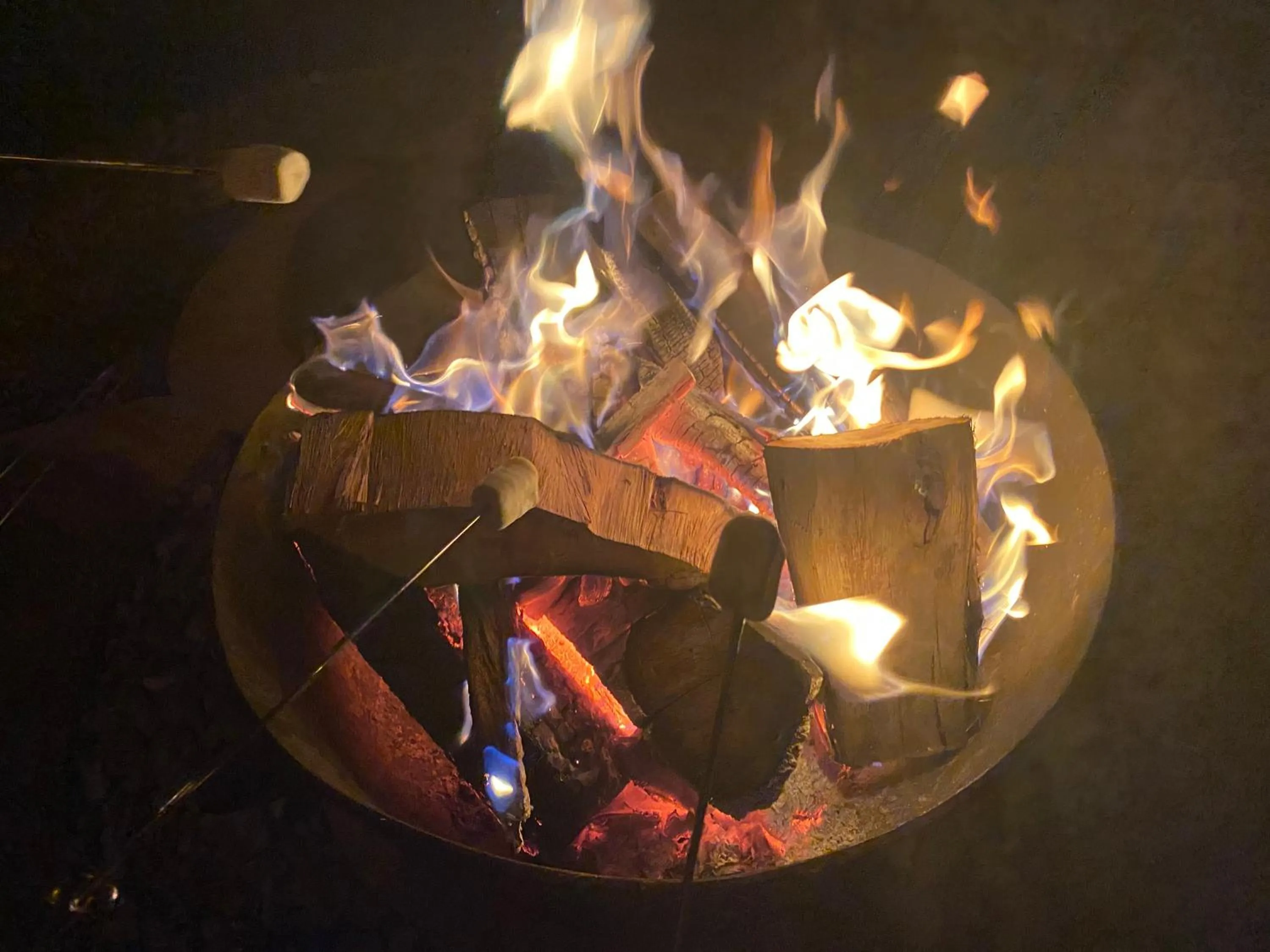 Restaurant/places to eat in Natubri Ecohotel