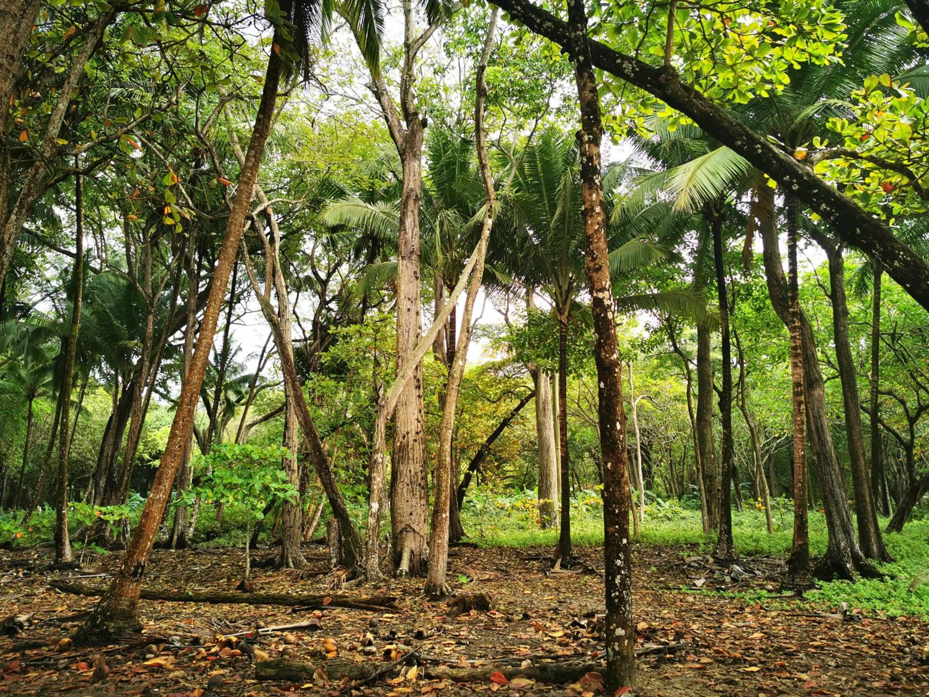 Day in Hotel Ritmo Tropical - Pool and Breakfast