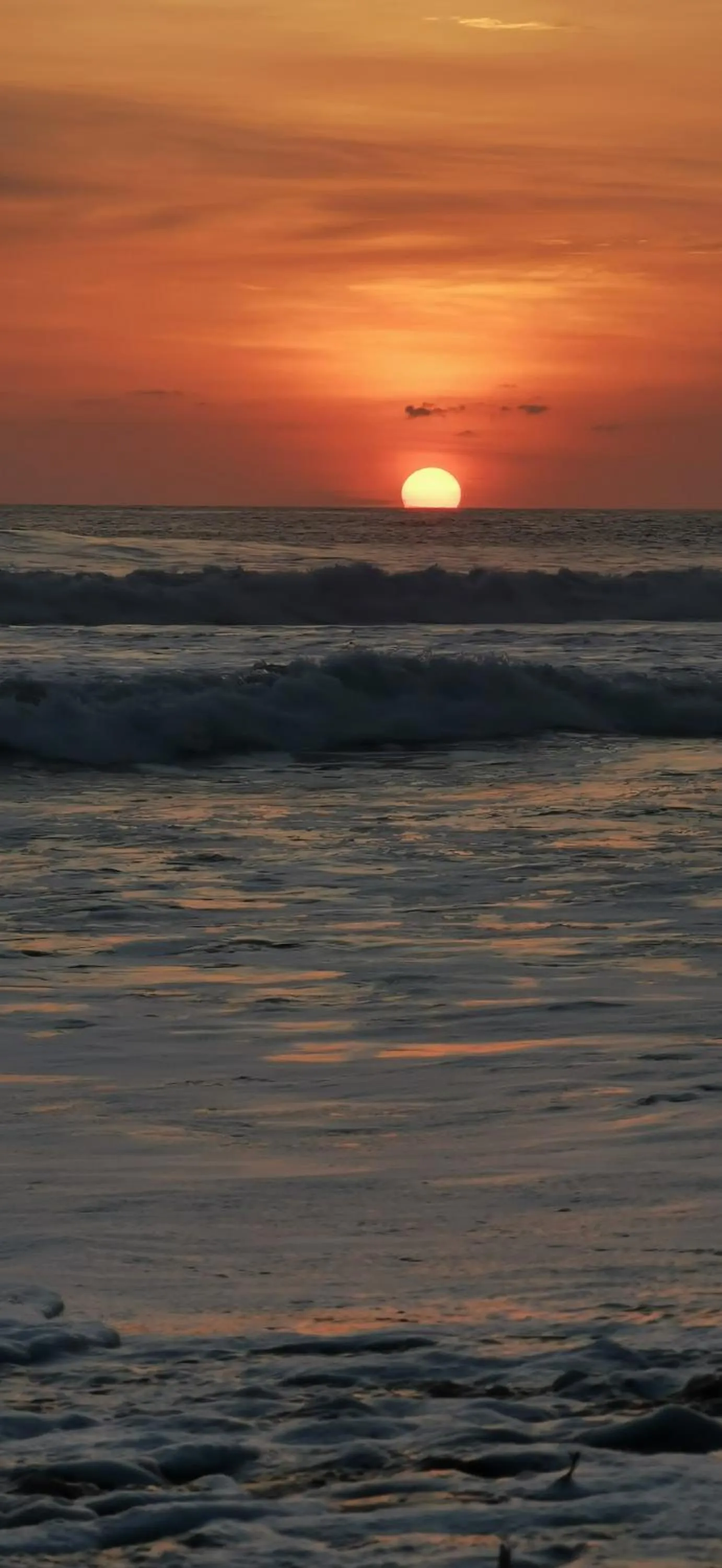 Natural landscape in Hotel Ritmo Tropical - Pool and Breakfast