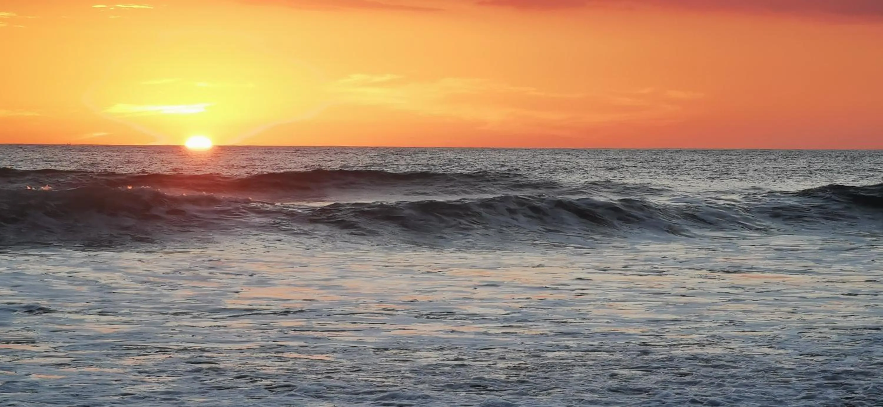 Natural landscape in Hotel Ritmo Tropical - Pool and Breakfast