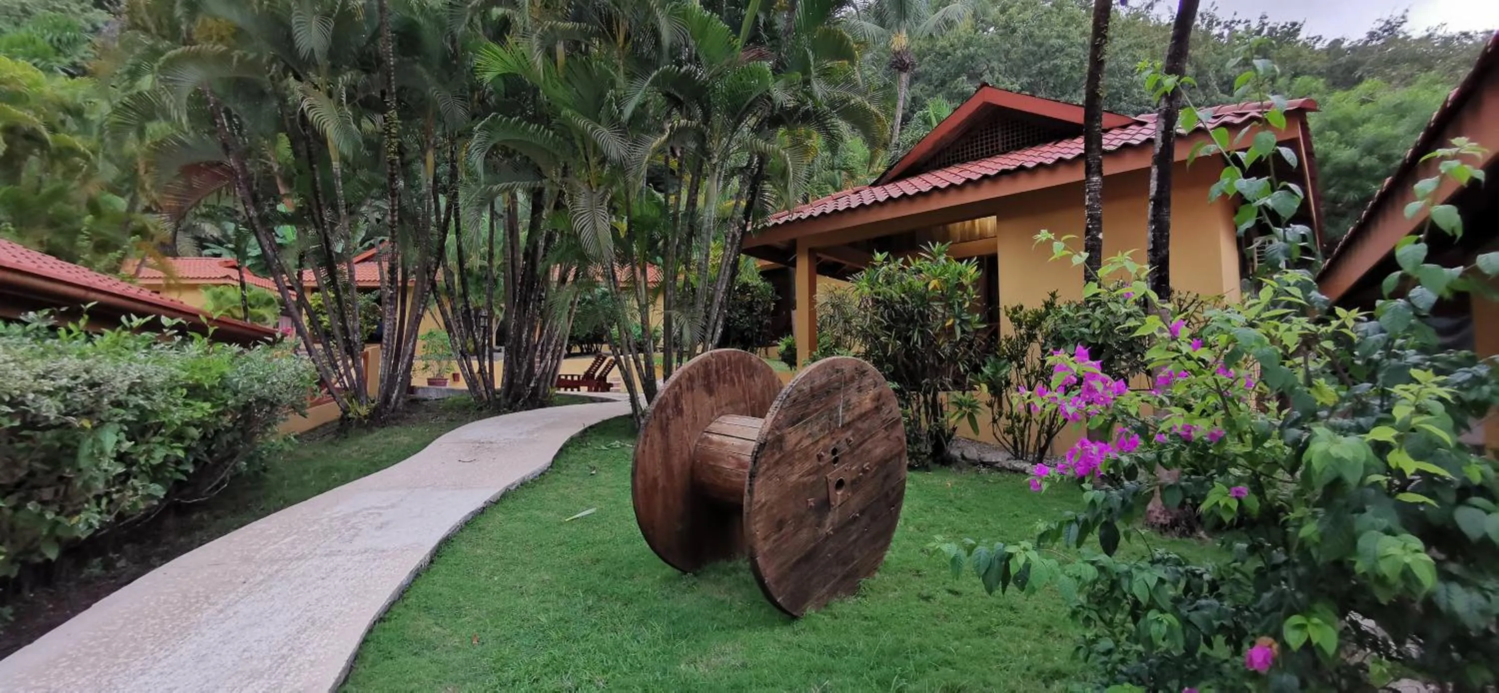 Garden in Hotel Ritmo Tropical - Pool and Breakfast