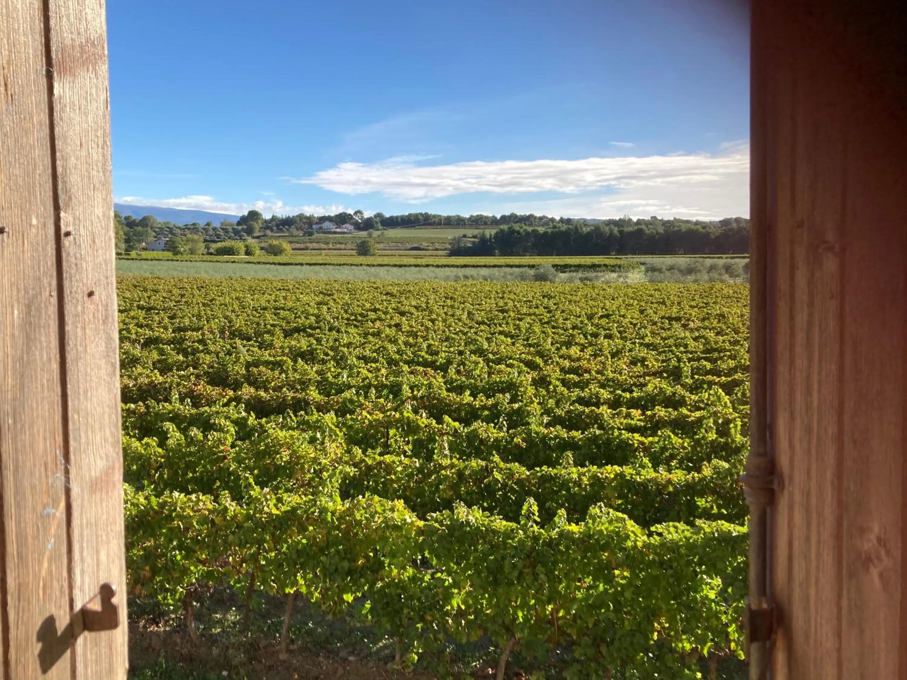 Natural landscape in la maiZon