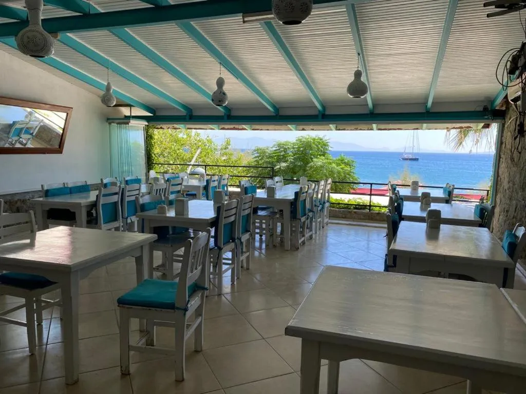 View (from property/room) in Manolya Hotel