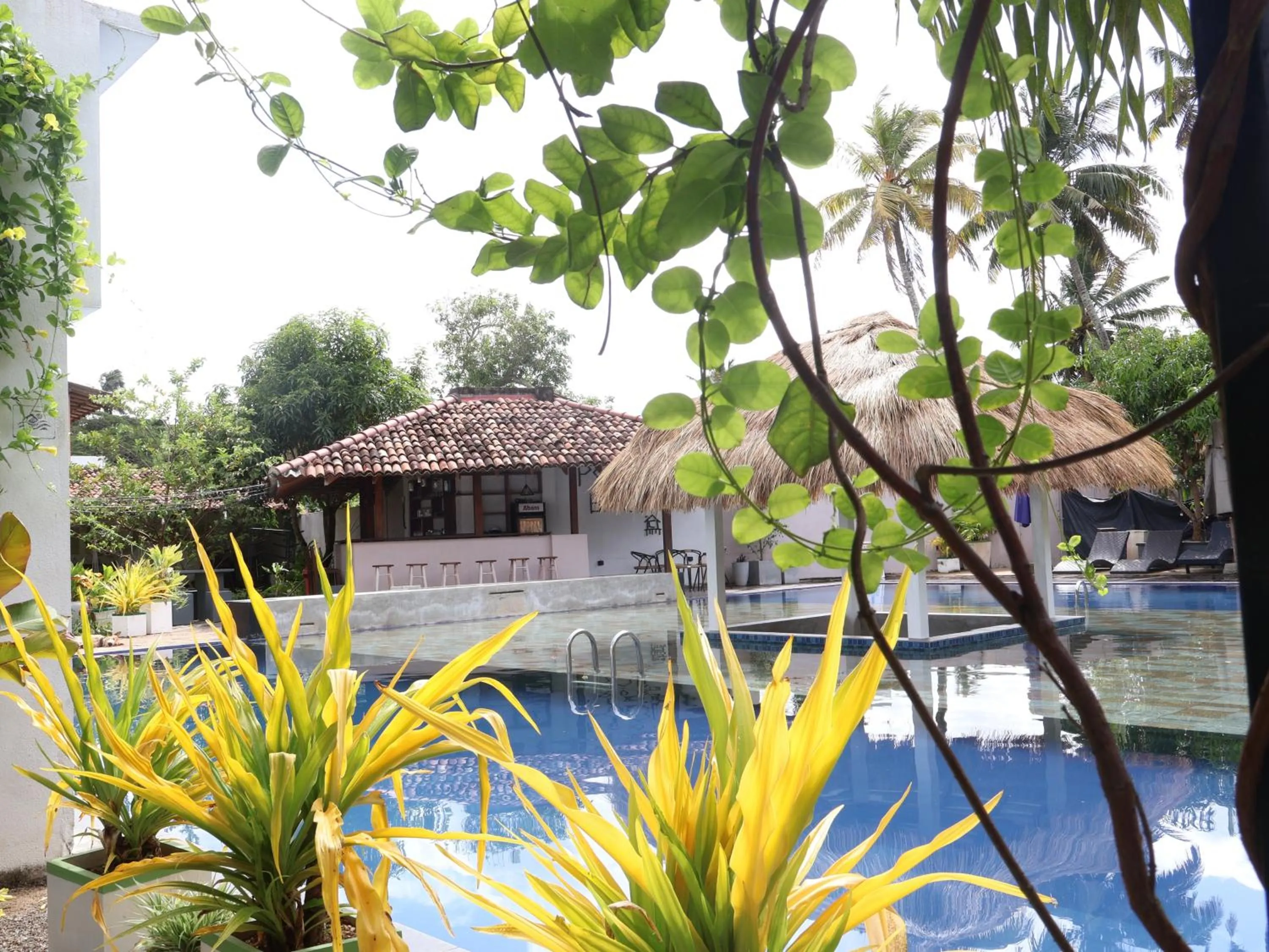 Swimming pool in Handagedara Resort & Spa
